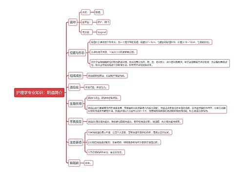 护理学专业知识：阴道简介思维导图