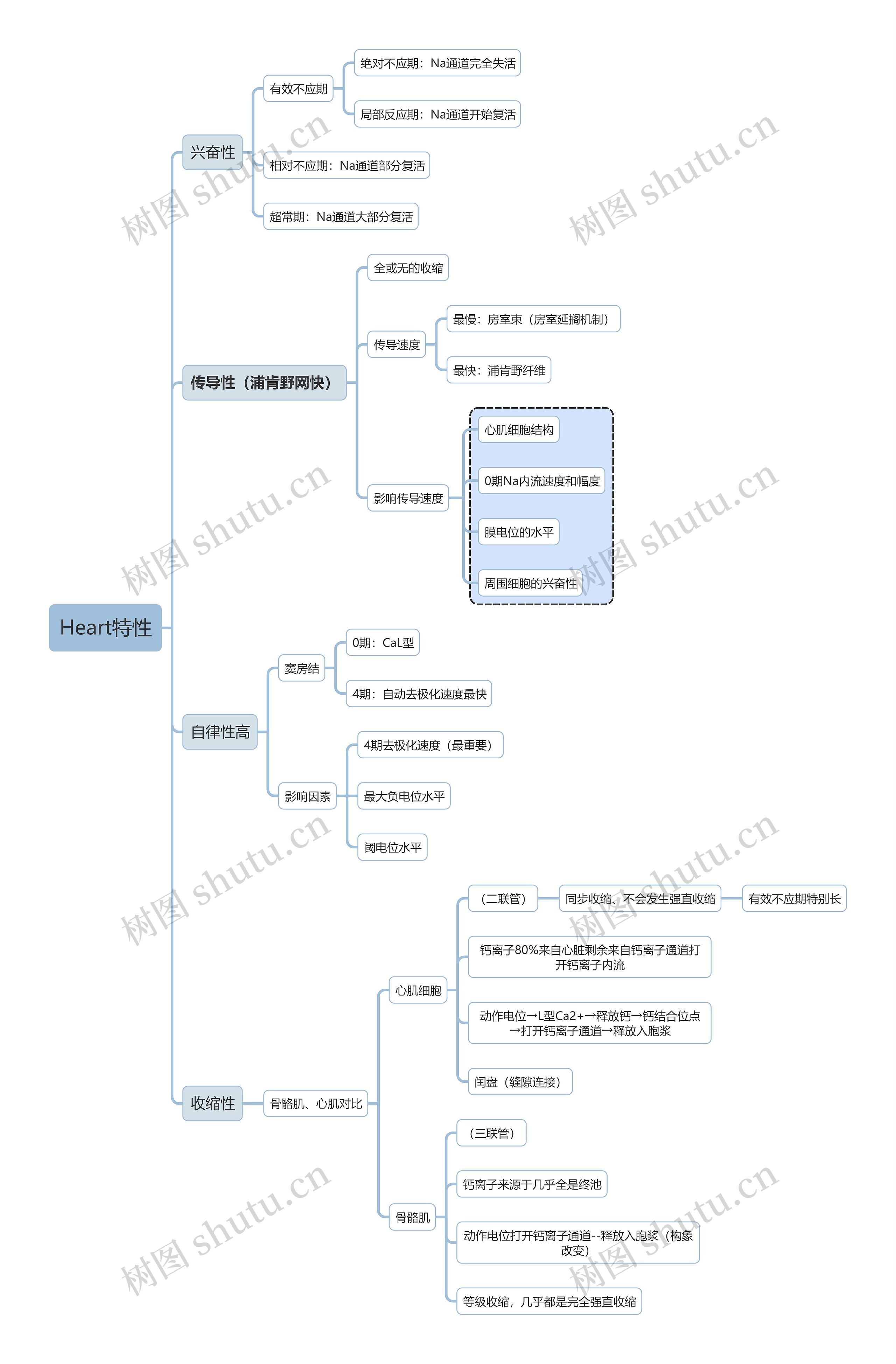 医学知识Heart特性思维导图