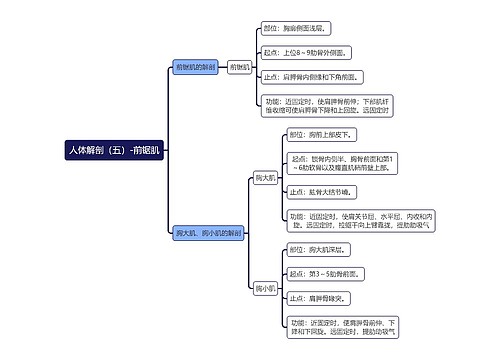 《人体解剖（五）-前锯肌》思维导图