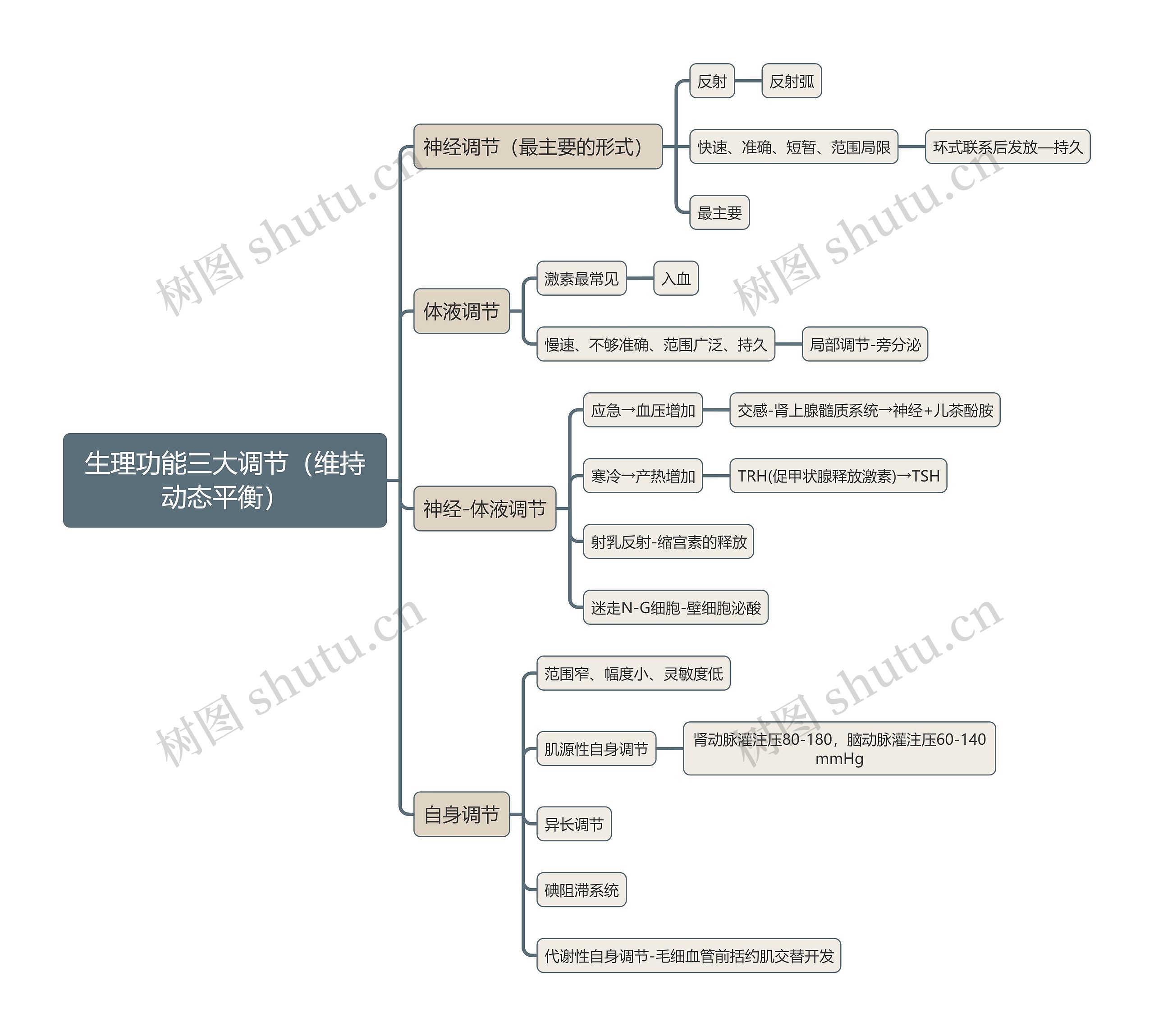 医学知识生理功能三大调节（维持动态平衡）思维导图