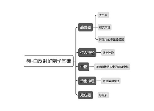 医学赫-白反射解剖学基础思维导图