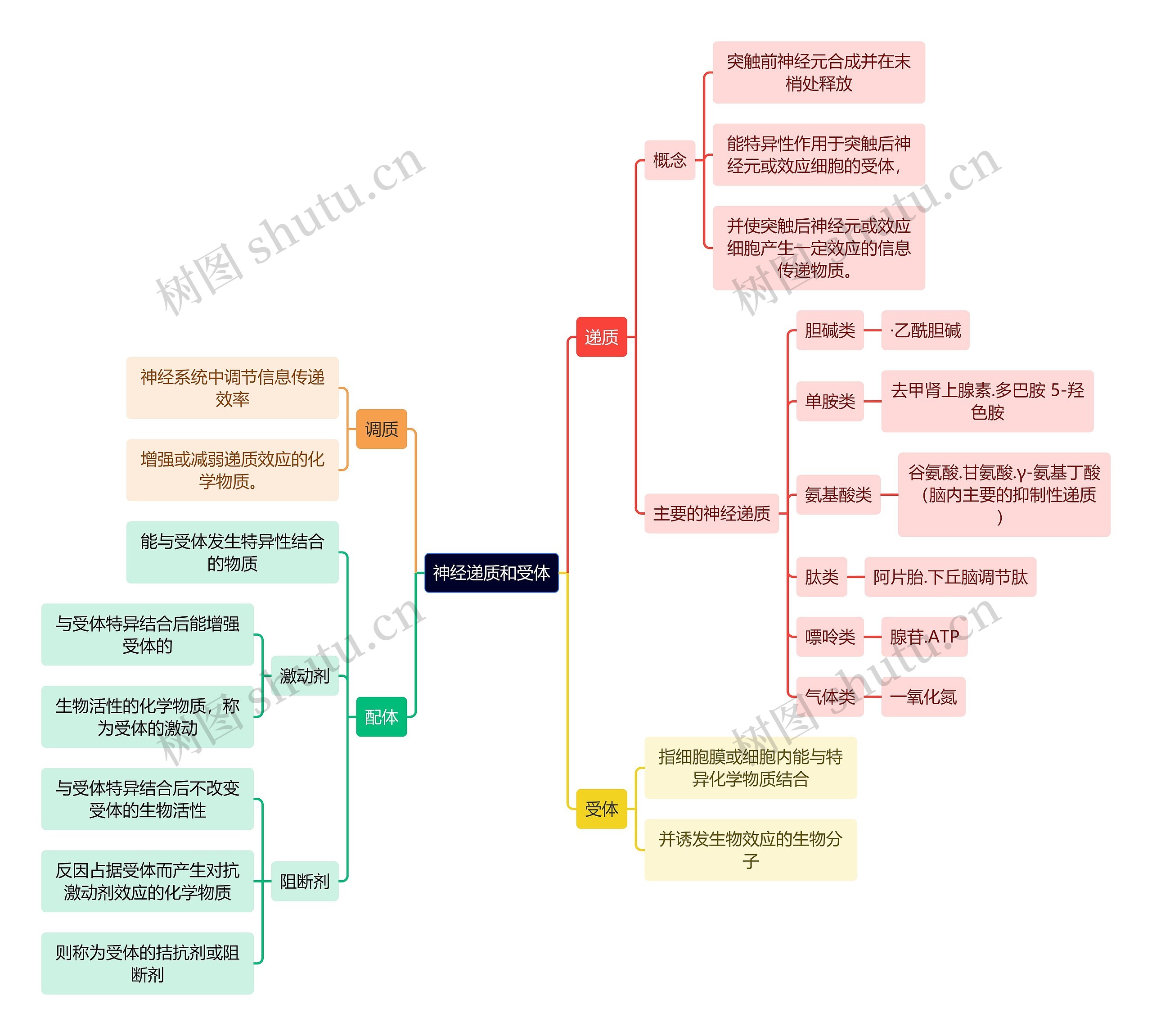 医学知识神经递质和受体思维导图