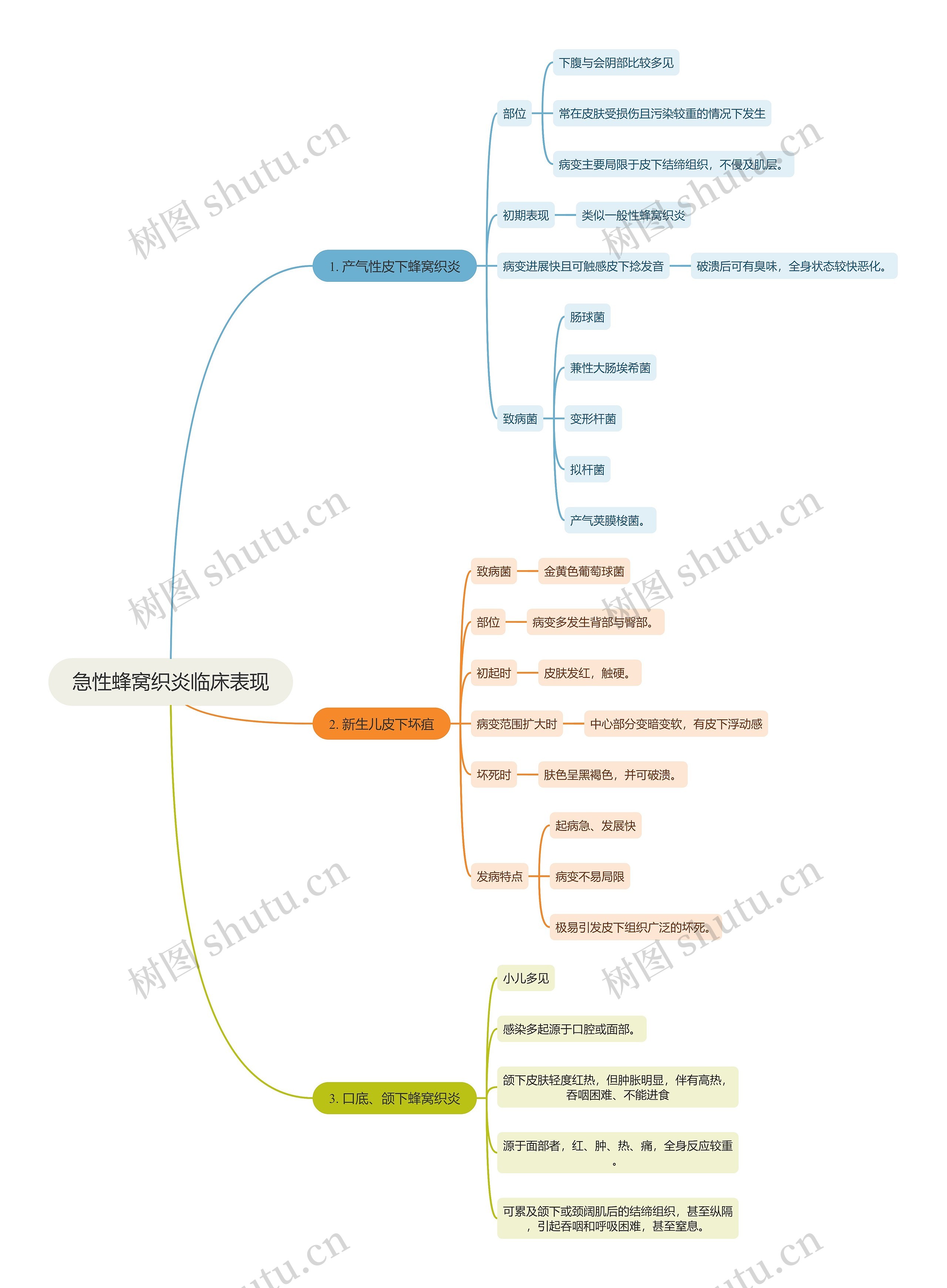 医学知识急性蜂窝织炎临床表现思维导图