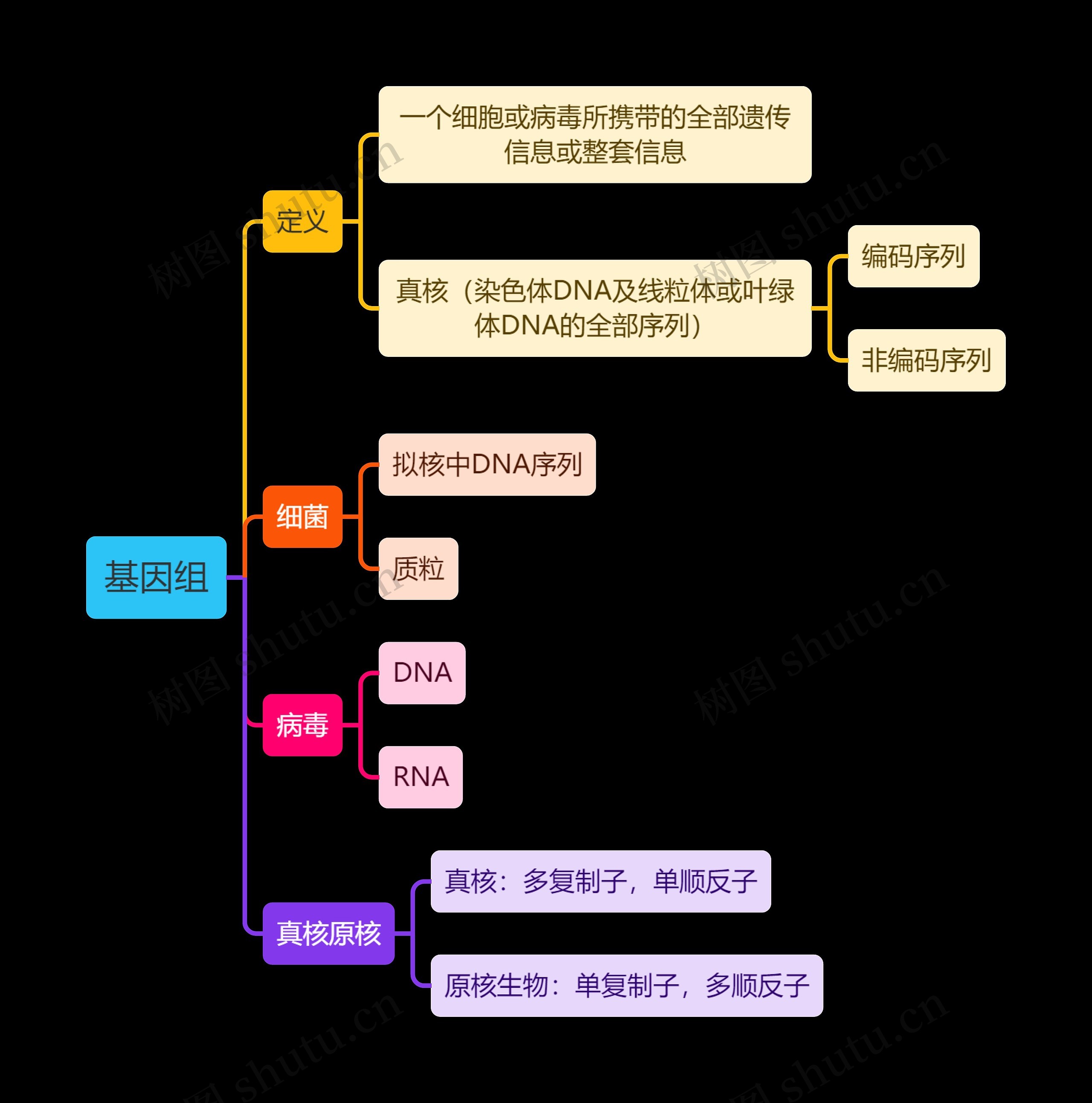 医学知识基因组思维导图