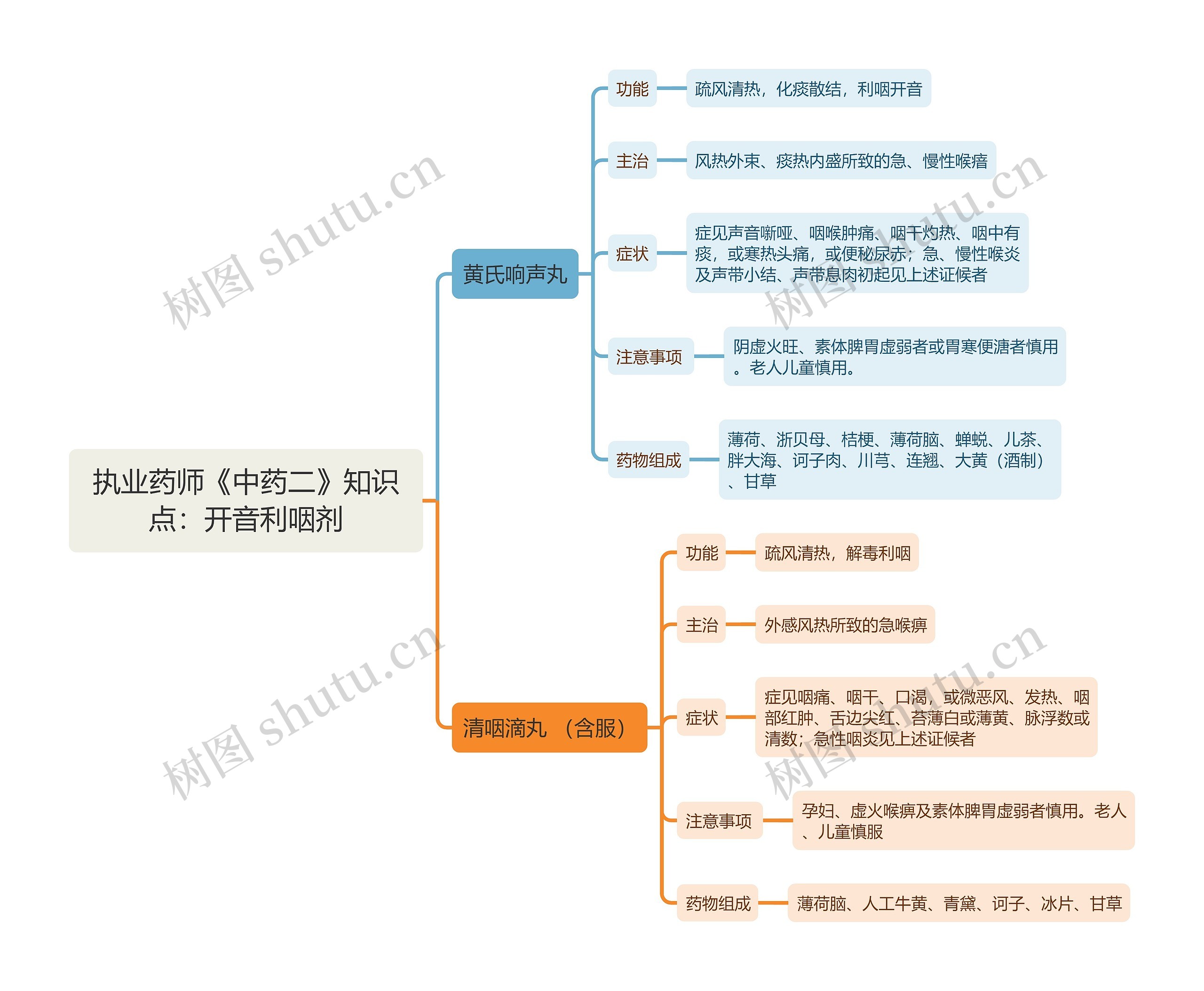 执业药师《中药二》知识点：开音利咽剂思维导图