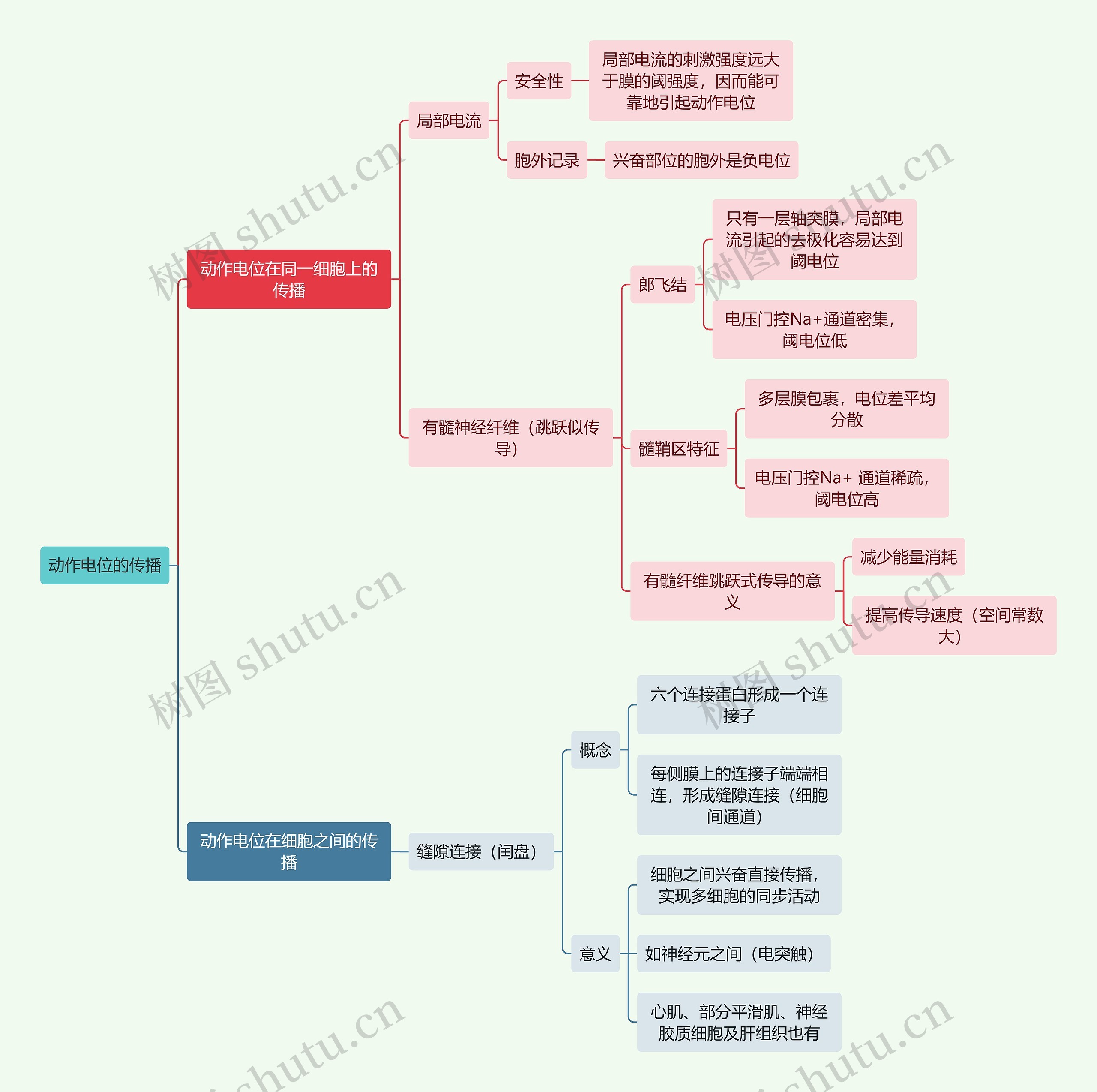 医学知识动作电位的传播思维导图