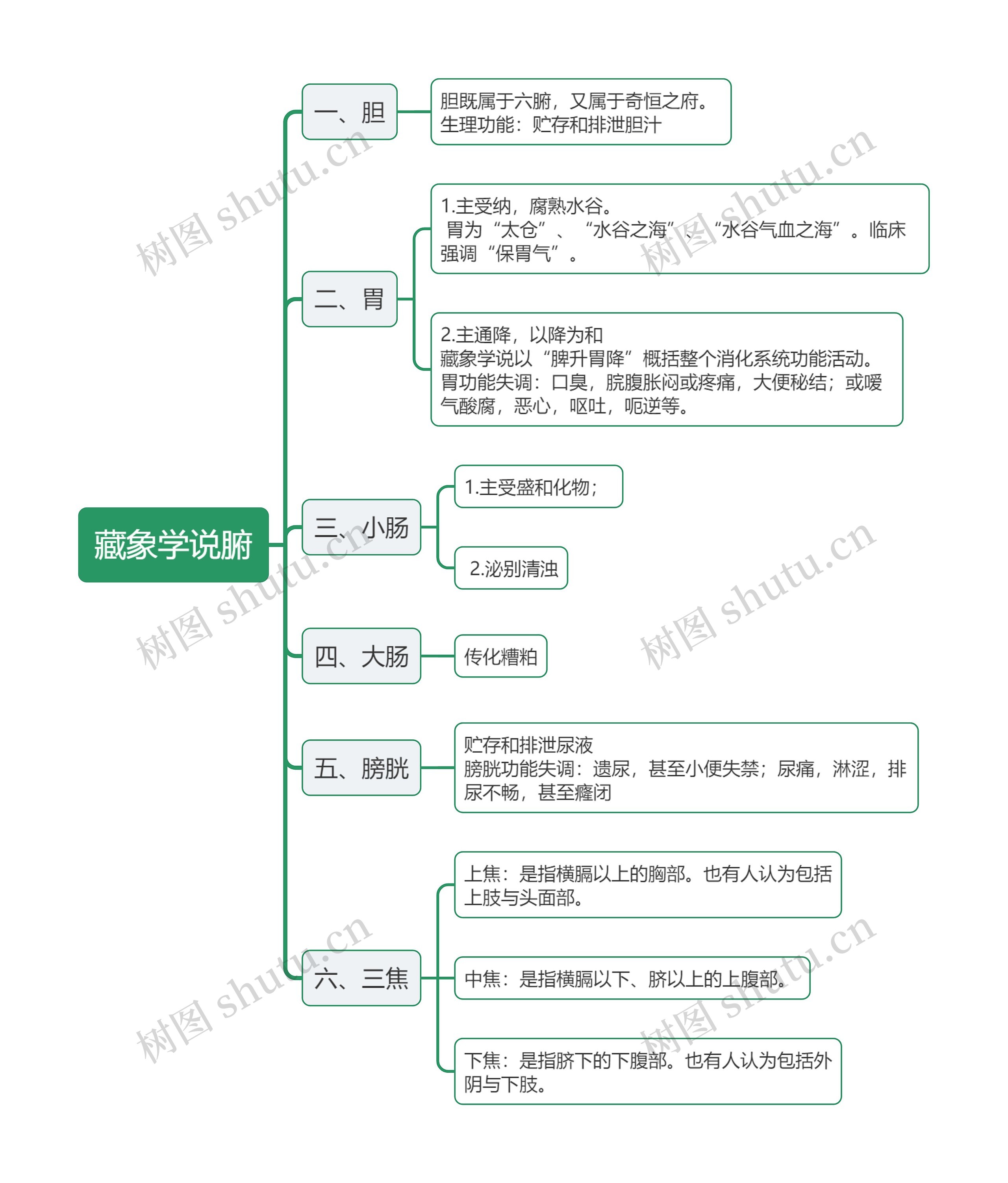 ﻿藏象学说腑思维导图