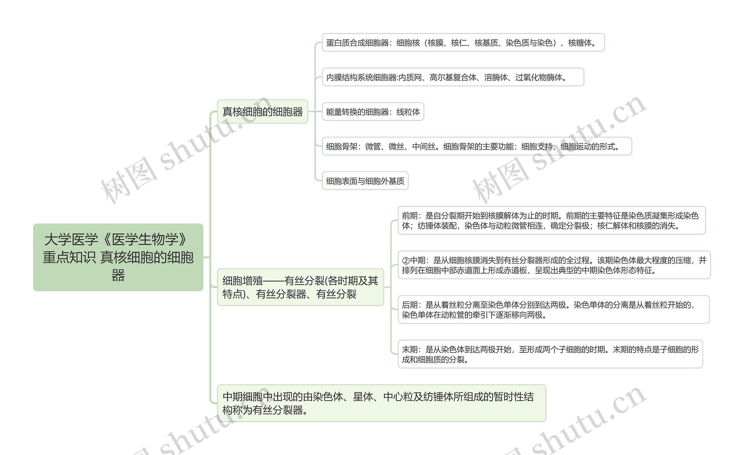 大学医学《医学生物学》重点知识 真核细胞的细胞器