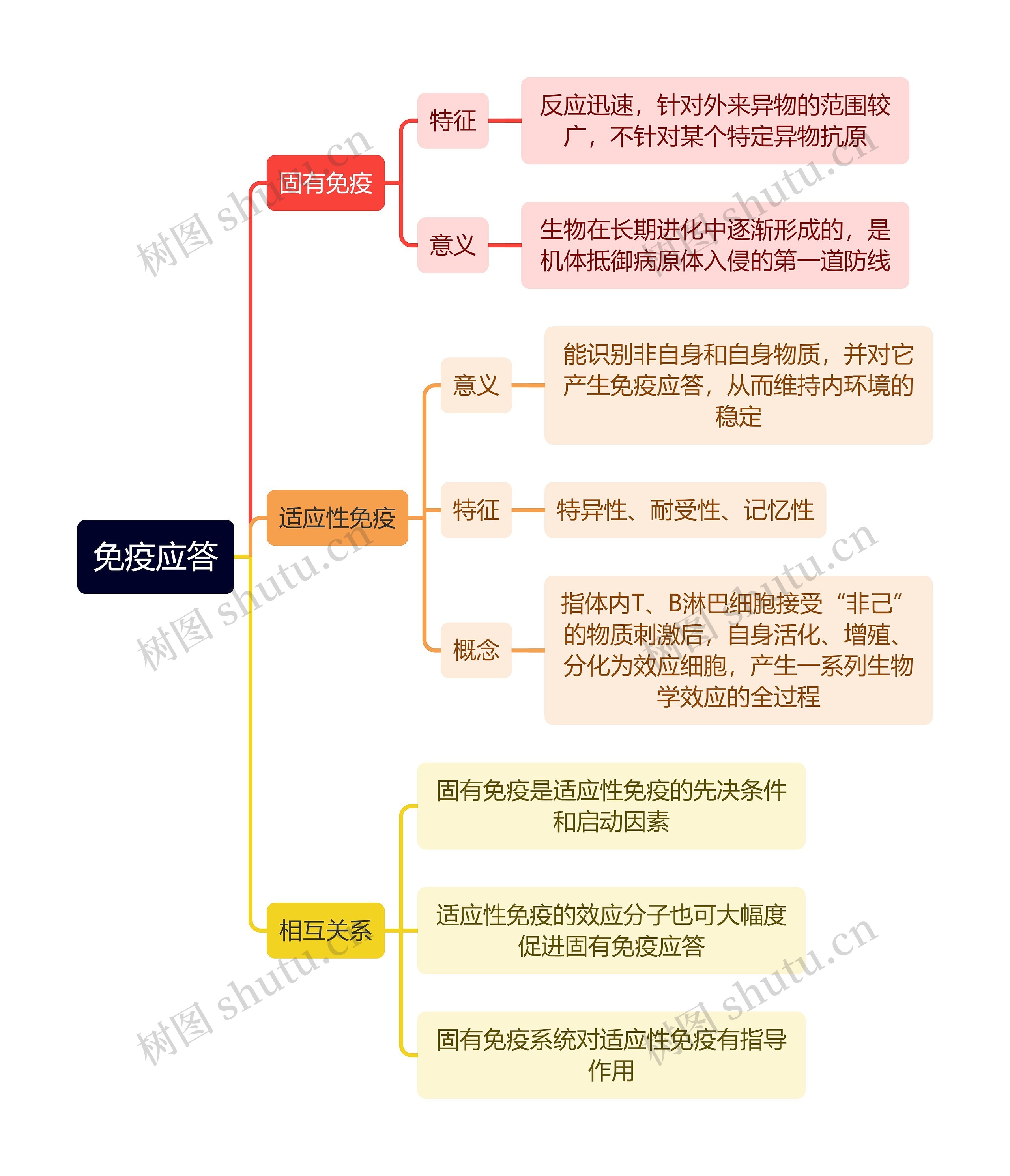 医学知识免疫应答思维导图