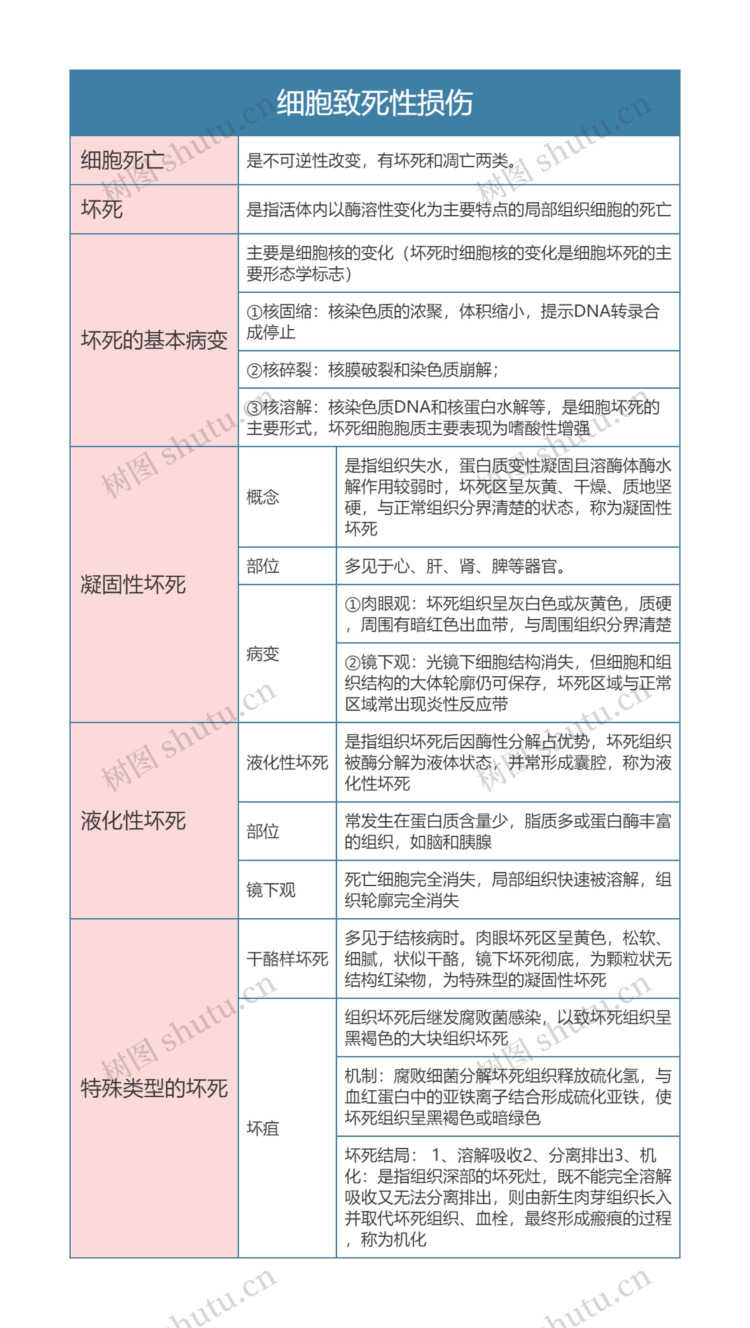 病理学  细胞致死性损伤思维导图