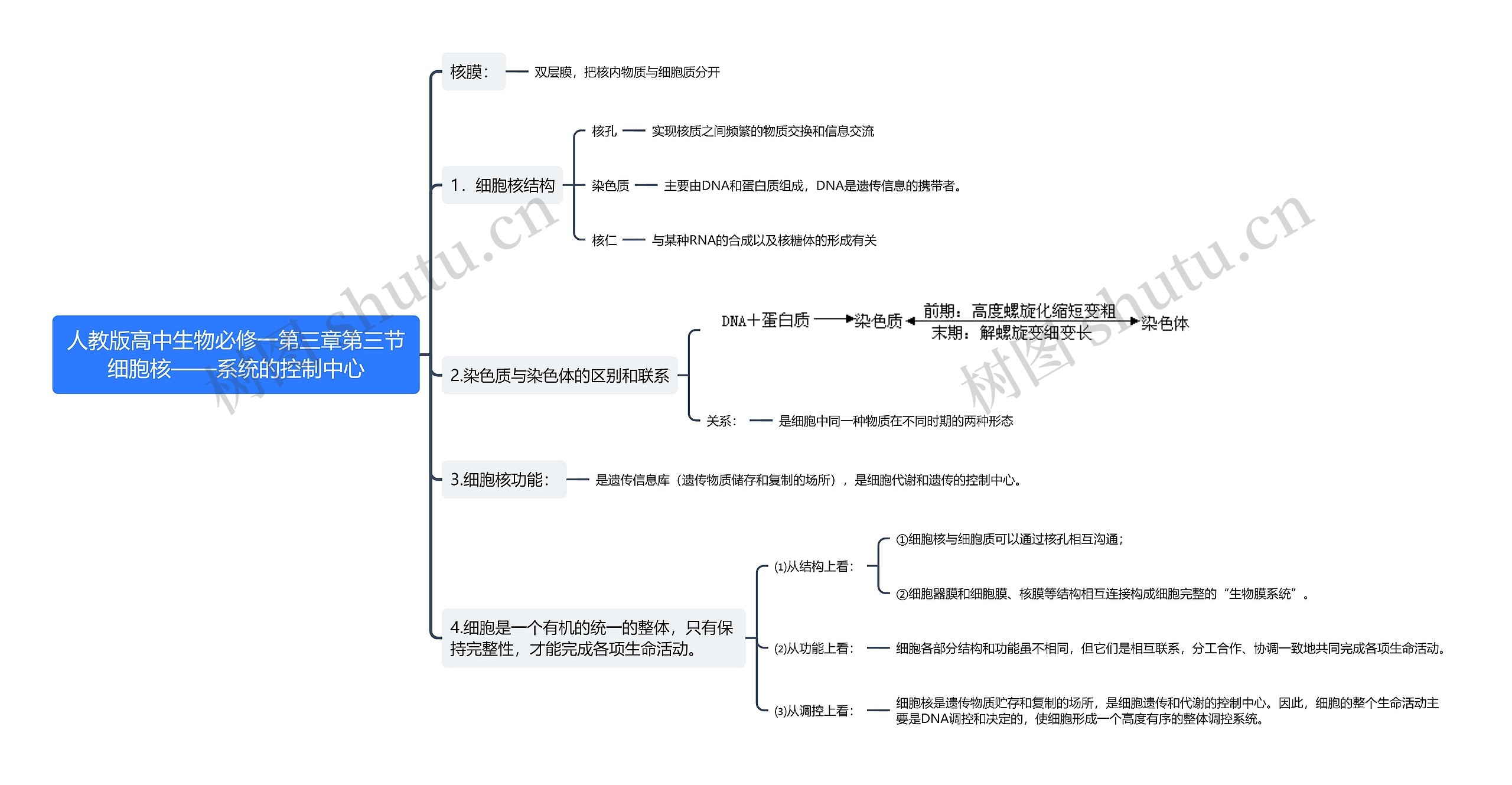 人教版高中生物必修一第三章第三节细胞核——系统的控制中心思维导图