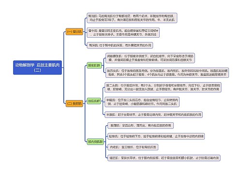 《动物解剖学  后肢主要肌肉（二）》思维导图