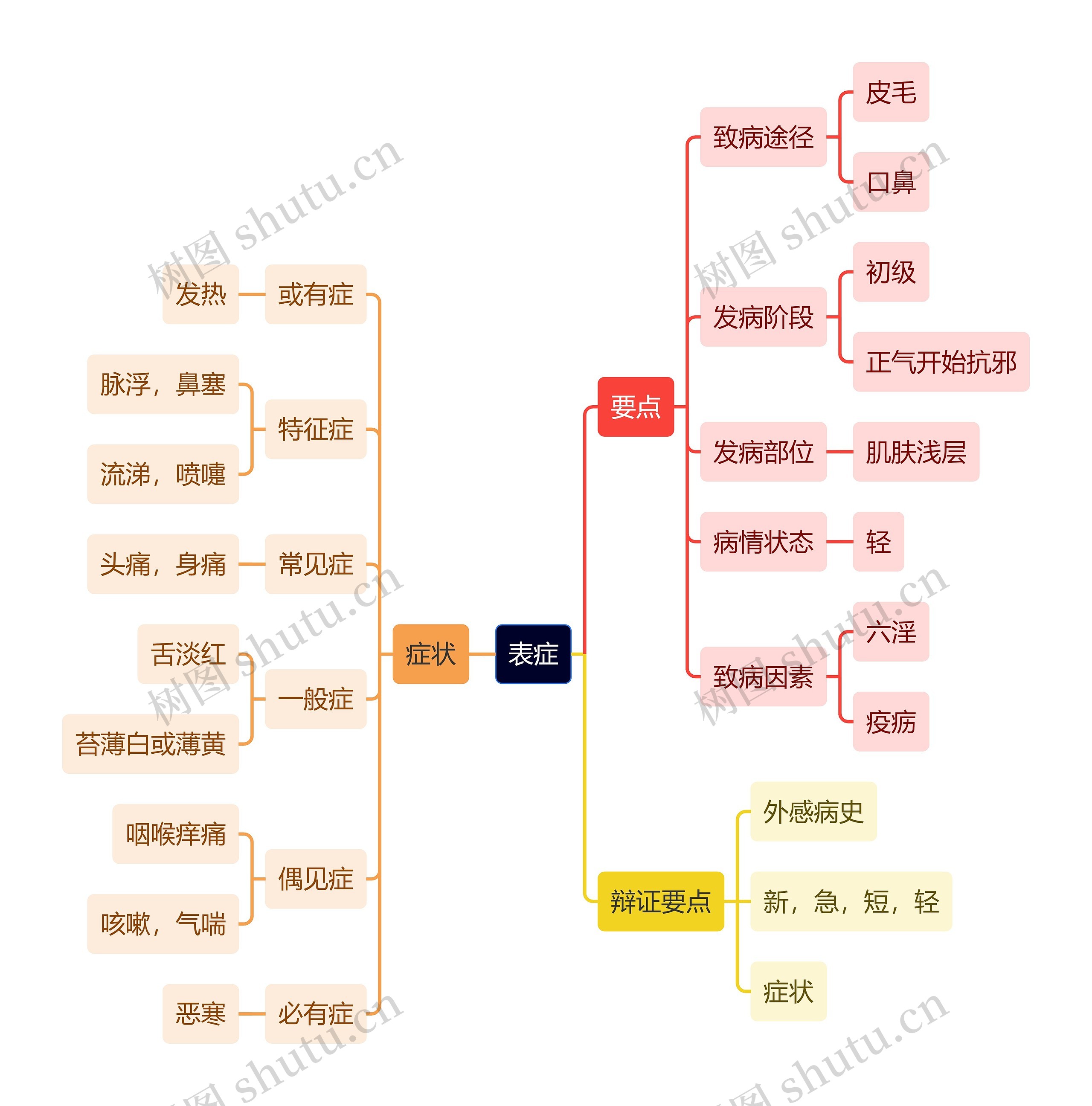 中医知识表症思维导图