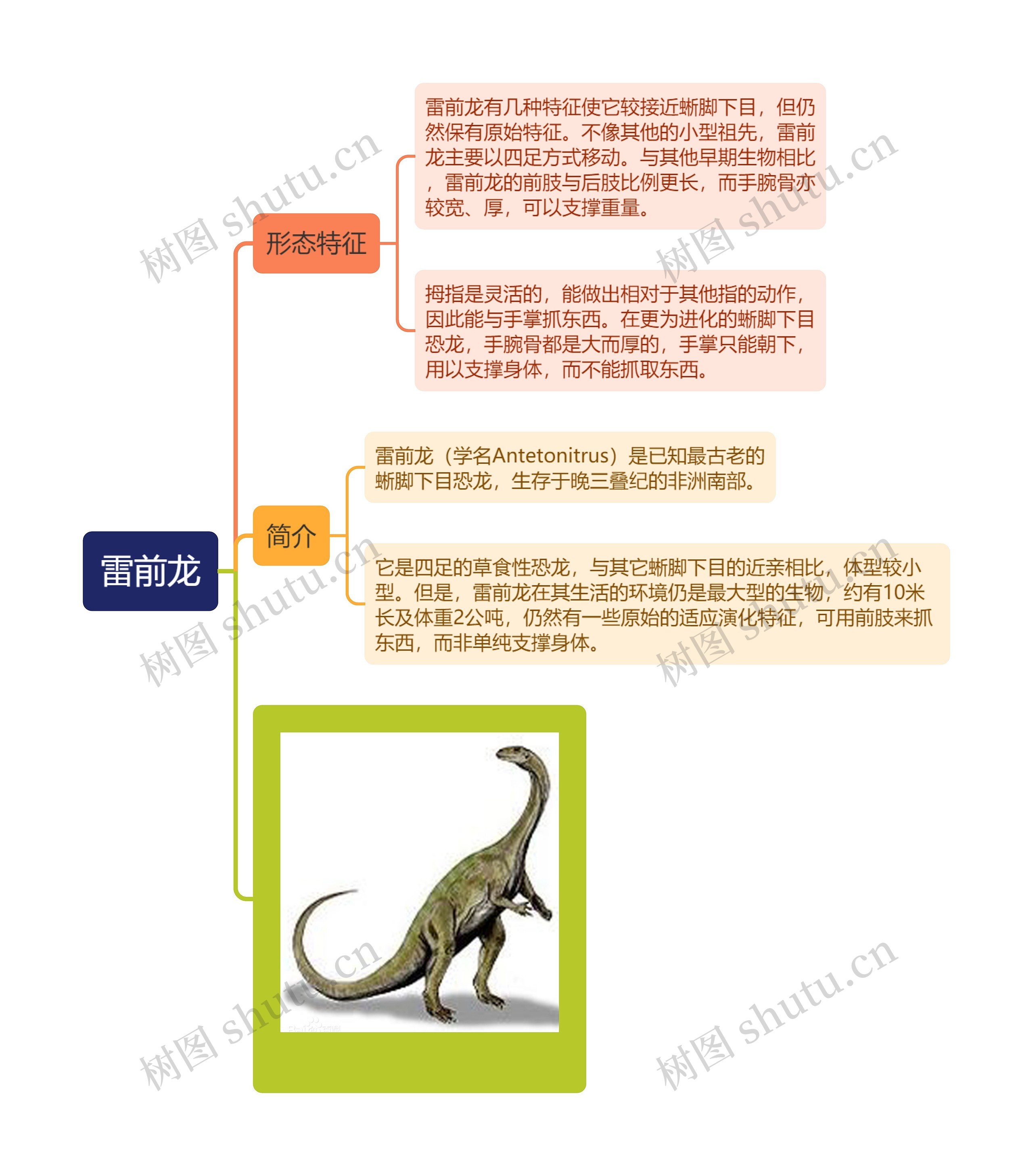 雷前龙思维导图