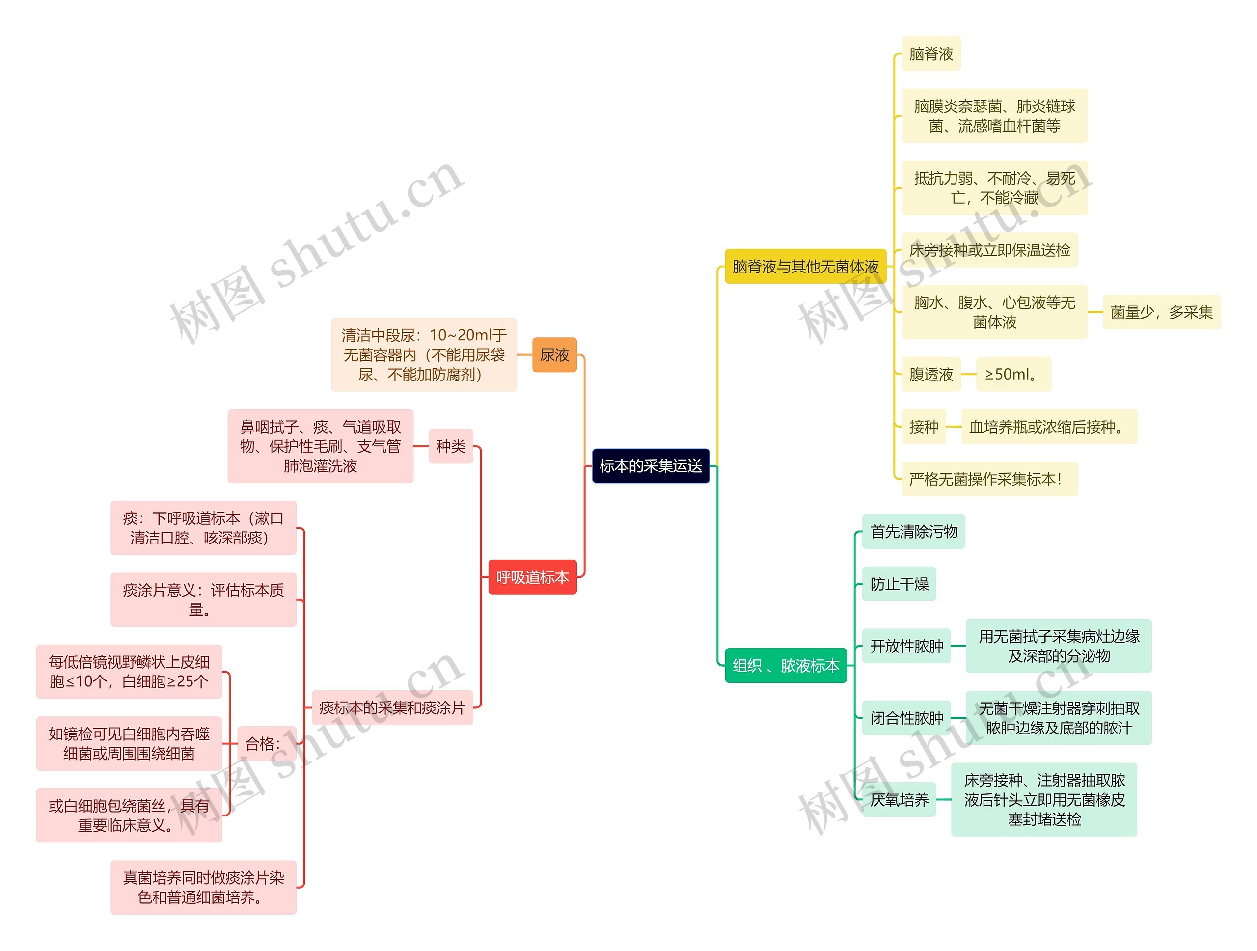 医学知识标本的采集运送思维导图高清图 医学知识标本的采集运送思维导图