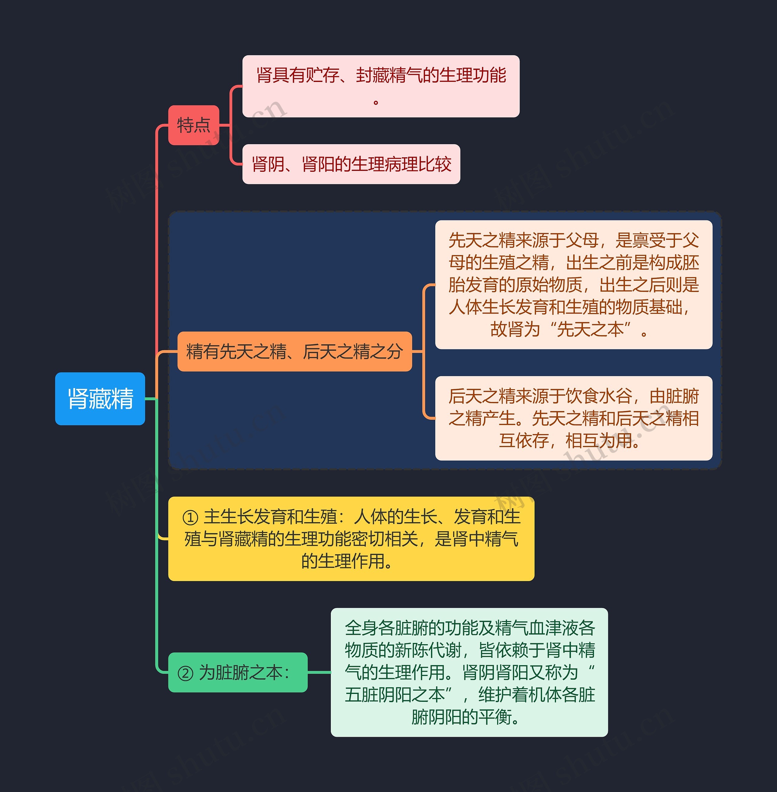 中医知识肾藏精思维导图