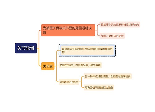 医学知识关节软骨思维导图