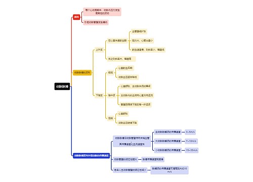 医学知识动脉脉搏思维导图