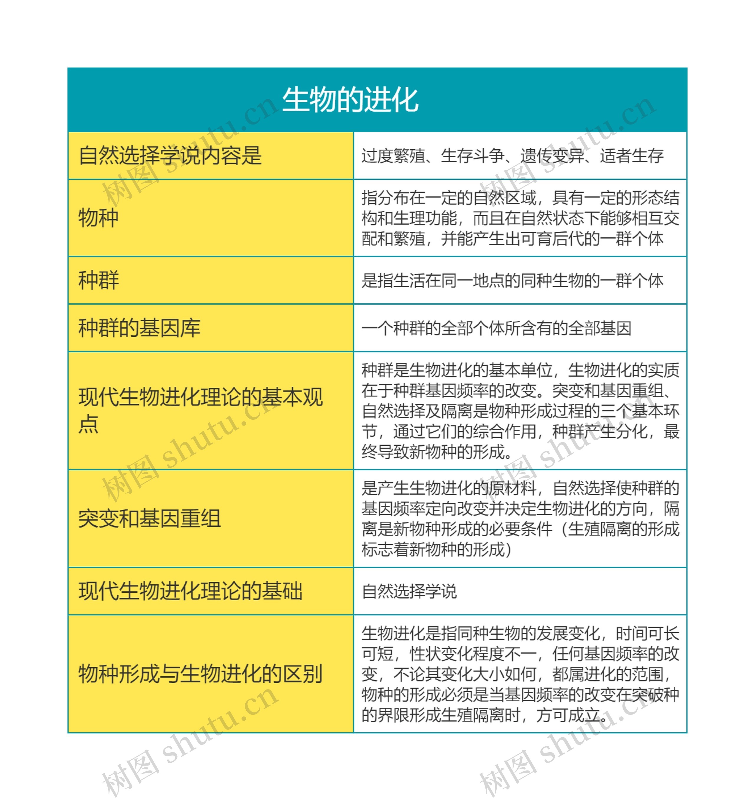 高中生物必修二生物的进化思维导图