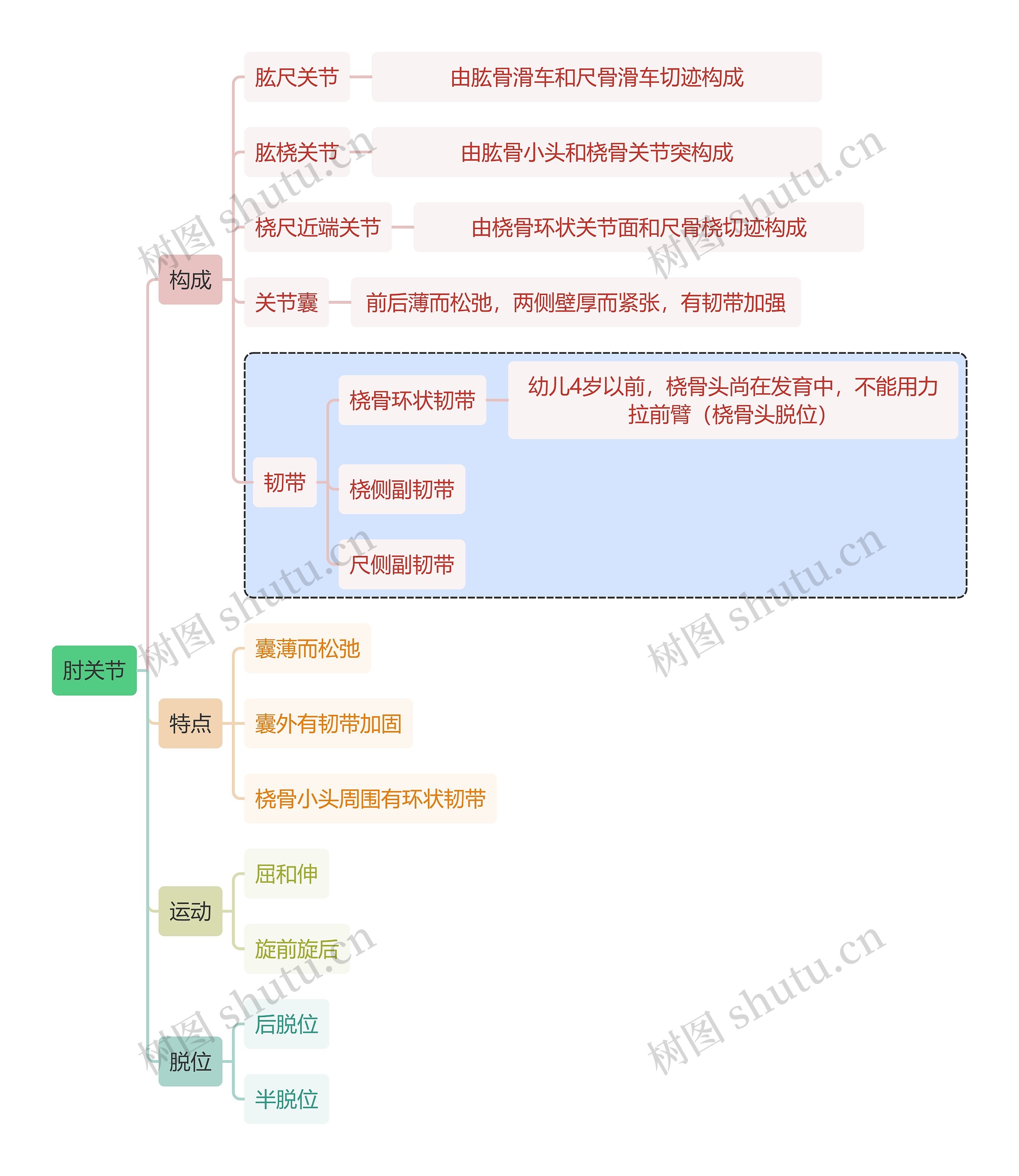 骨学知识肘关节思维导图