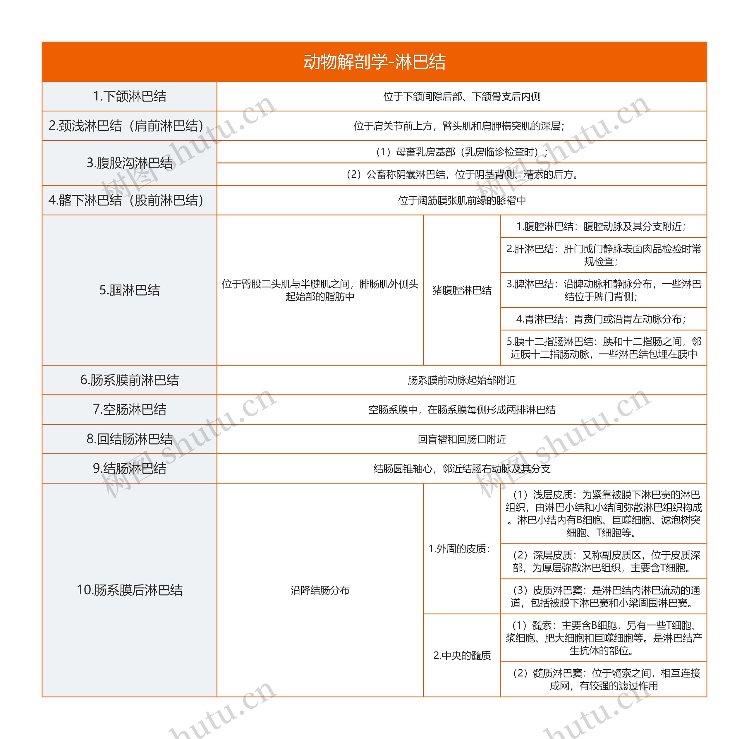 《动物解剖学-淋巴结》思维导图