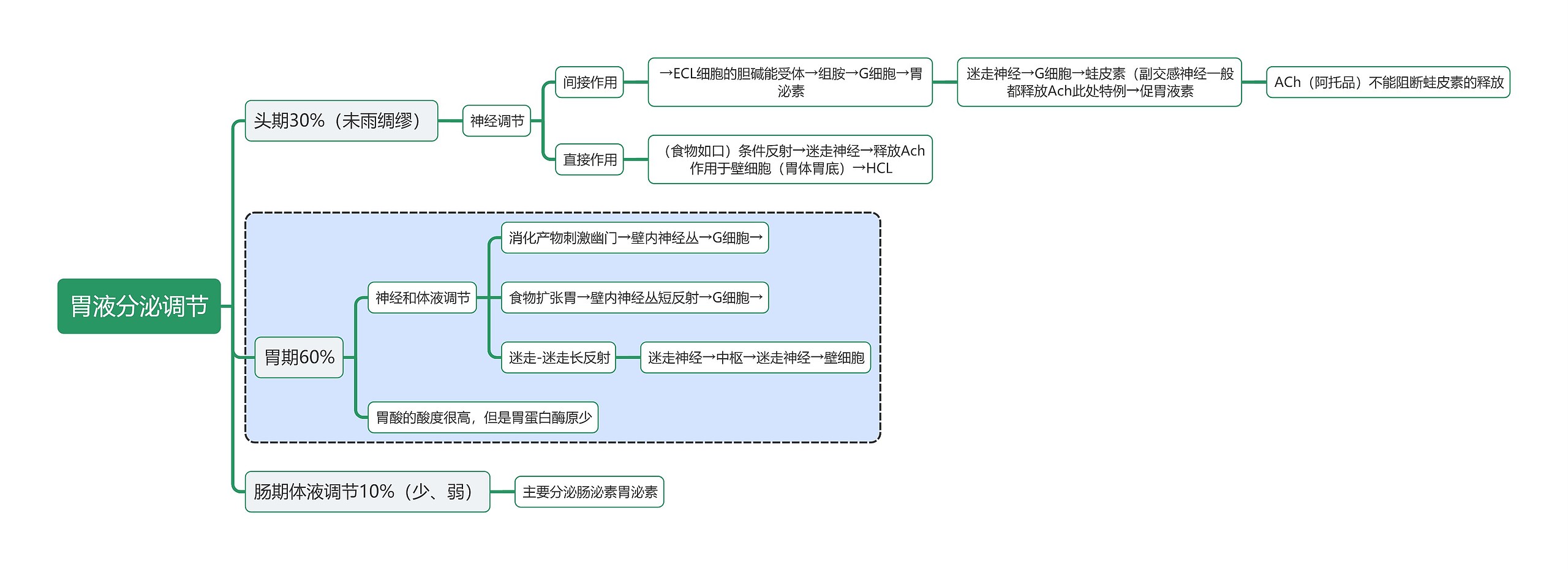 医学知识胃液分泌调节思维导图