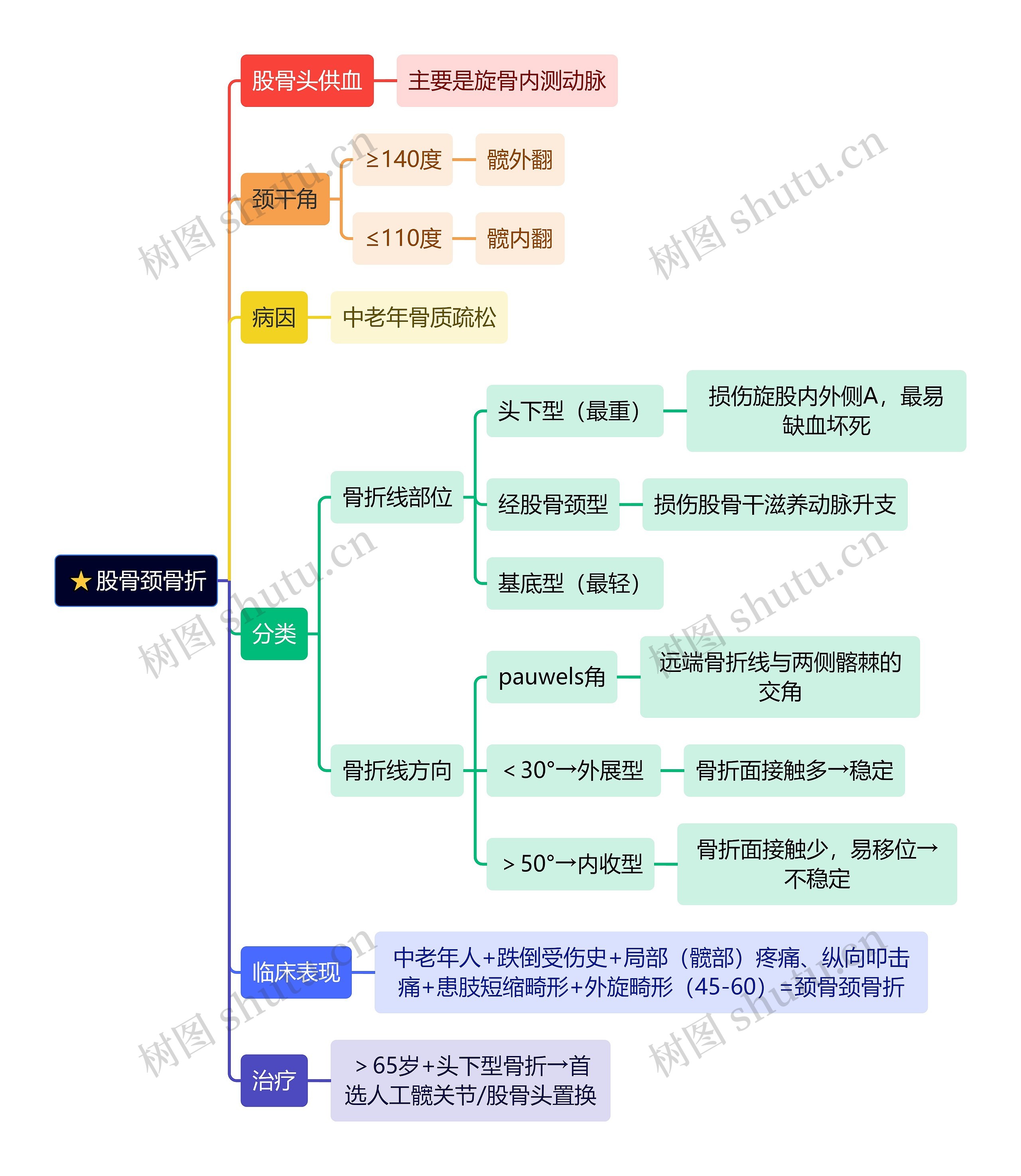 骨学知识股骨颈骨折思维导图