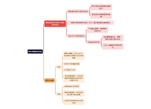 医学知识胰岛细胞激素机制思维导图