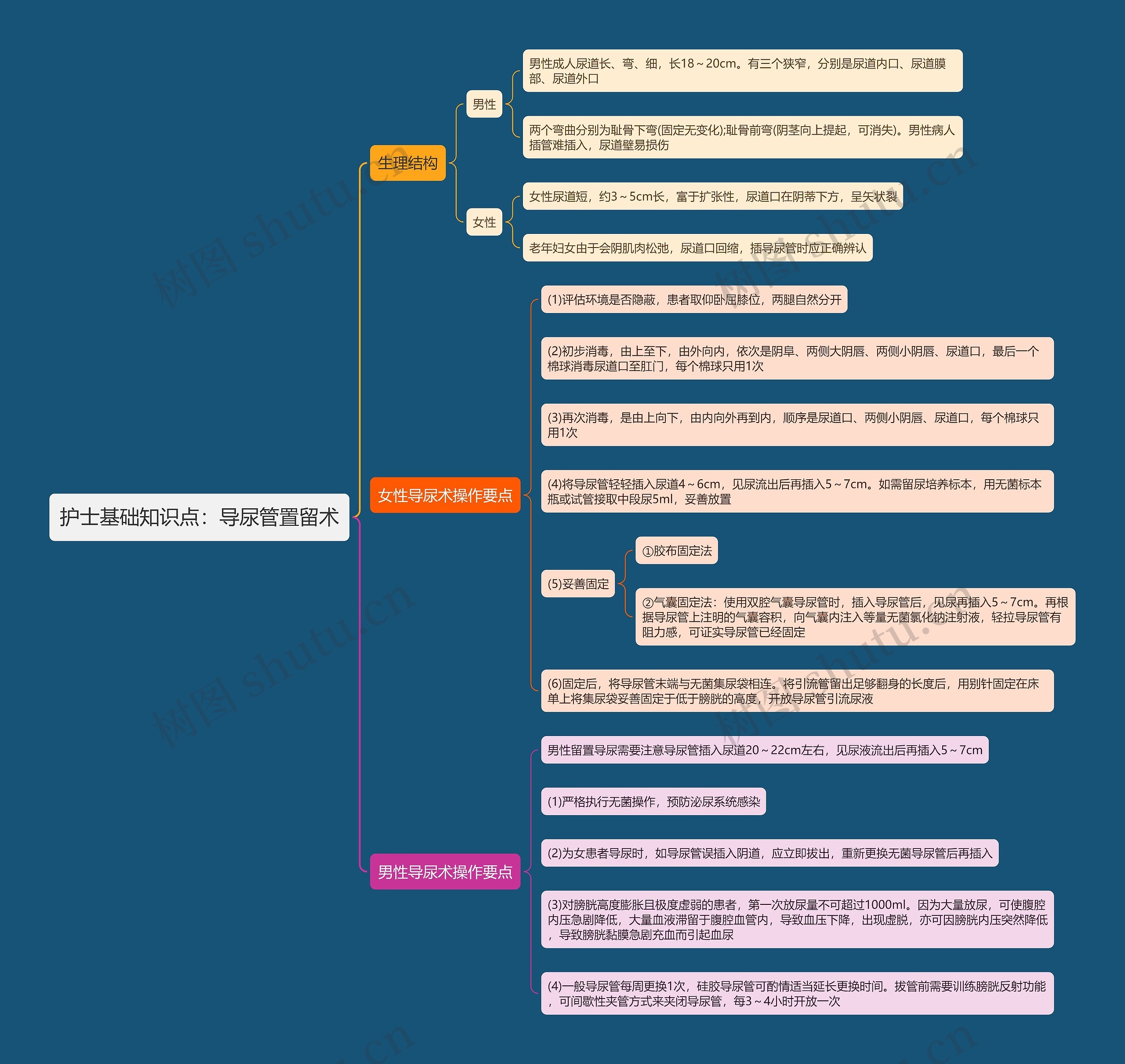 护士基础知识点：导尿管置留术