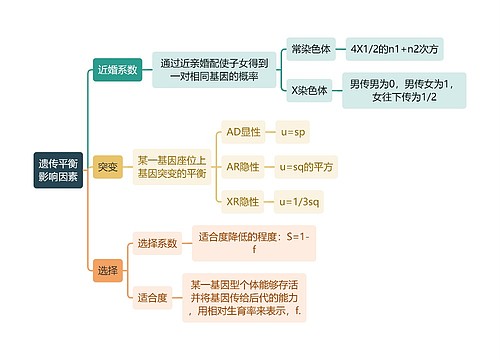 医学知识遗传平衡影响因素思维导图