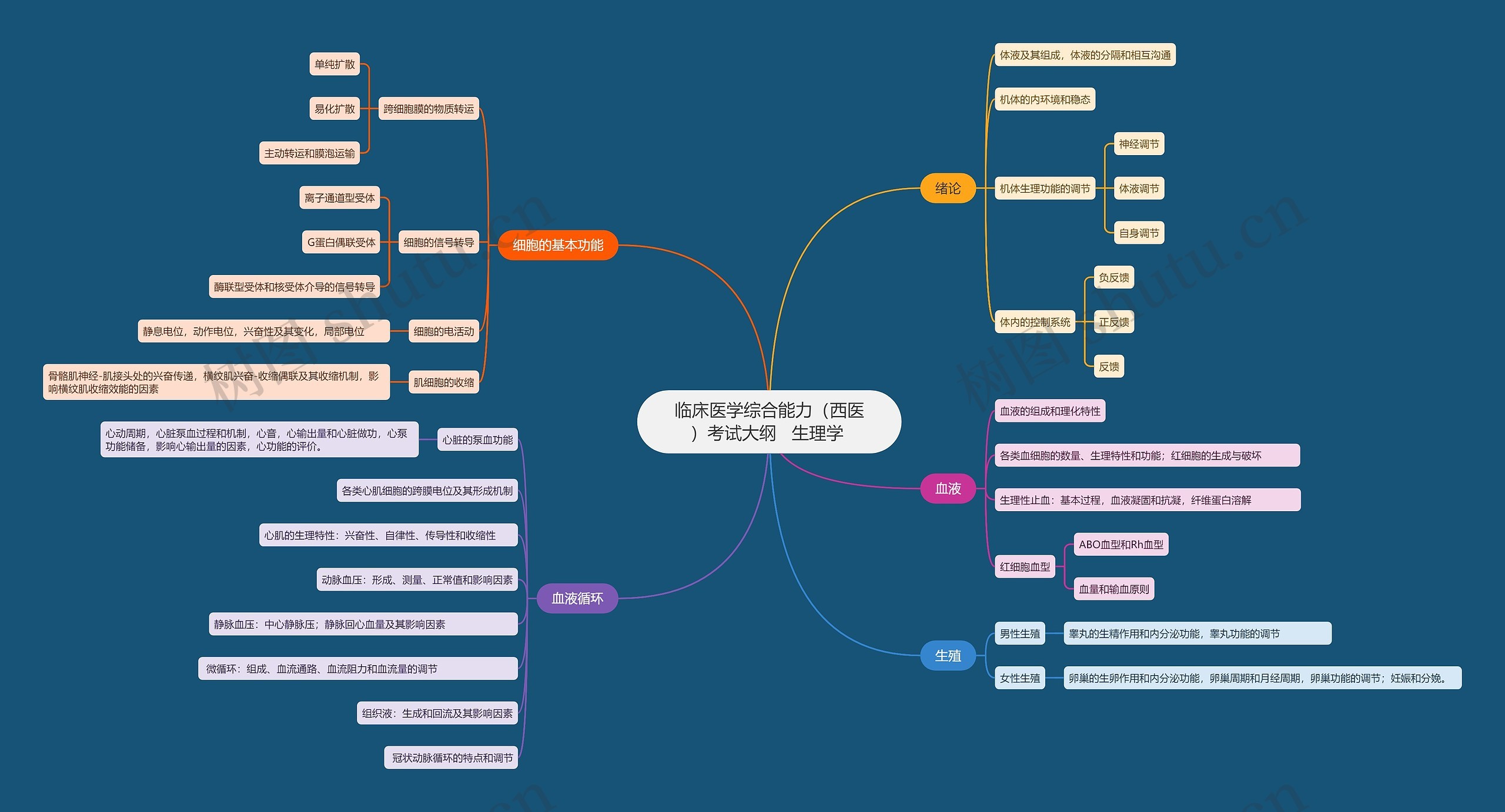 临床医学综合能力（西医）考试大纲   生理学 思维导图