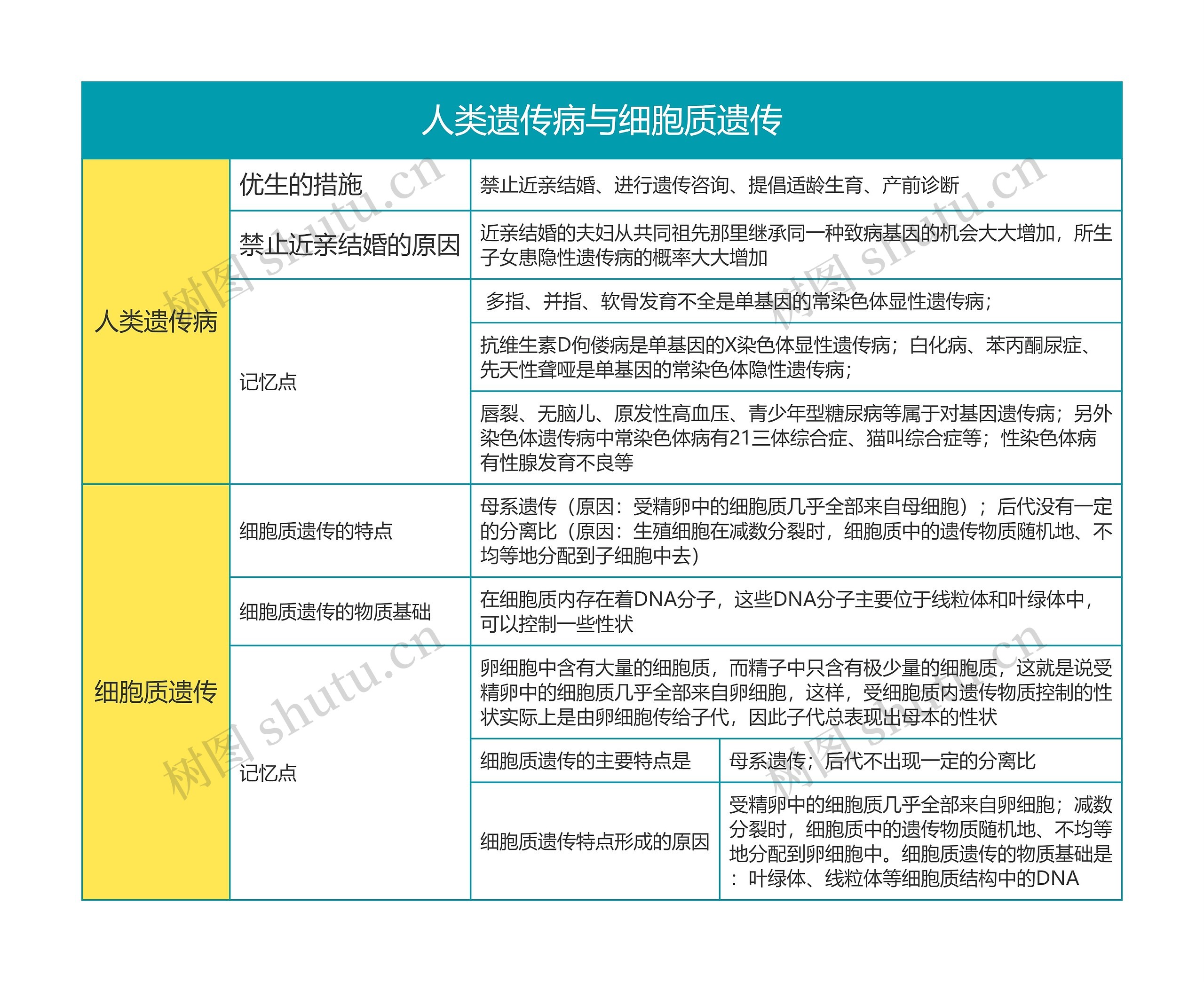 高中生物必修二人类遗传病与细胞质遗传思维导图