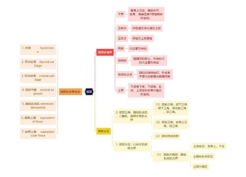 医学知识颈部思维导图