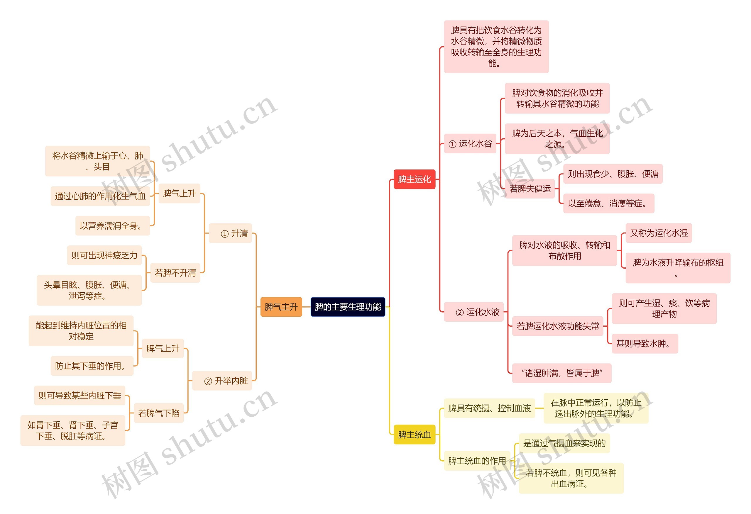 中医知识脾的主要生理功能思维导图