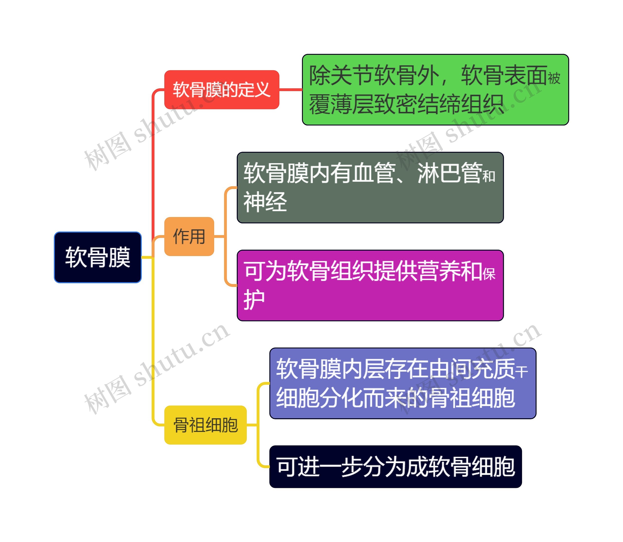 医学知识软骨膜思维导图