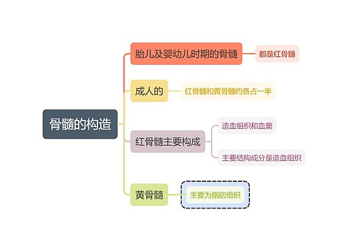 医学知识骨髓的构造思维导图