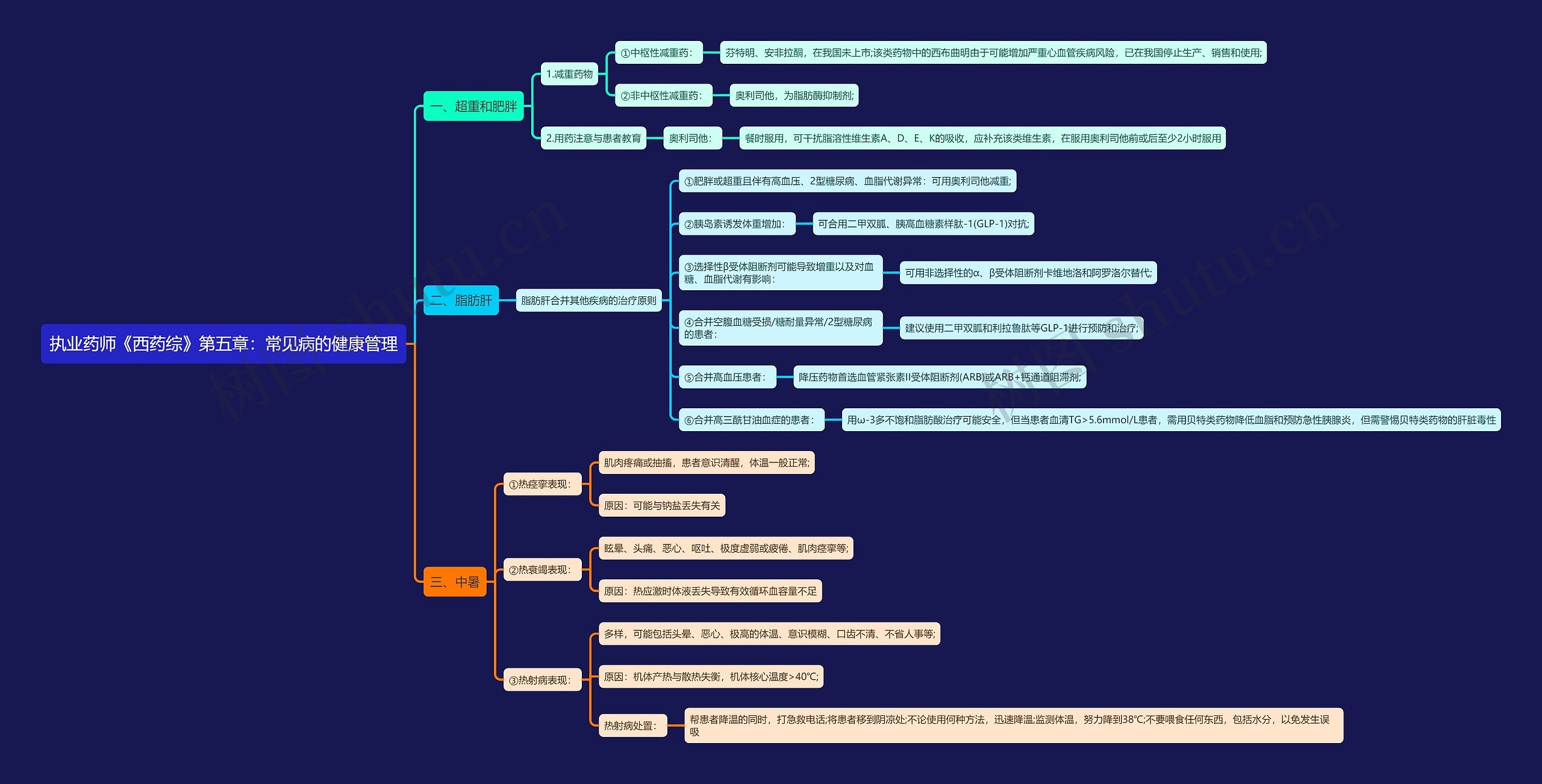 执业药师《西药综》第五章：常见病的健康管理思维导图