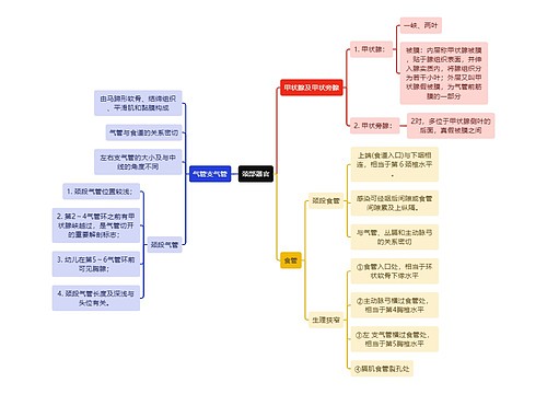 医学知识颈部器官思维导图