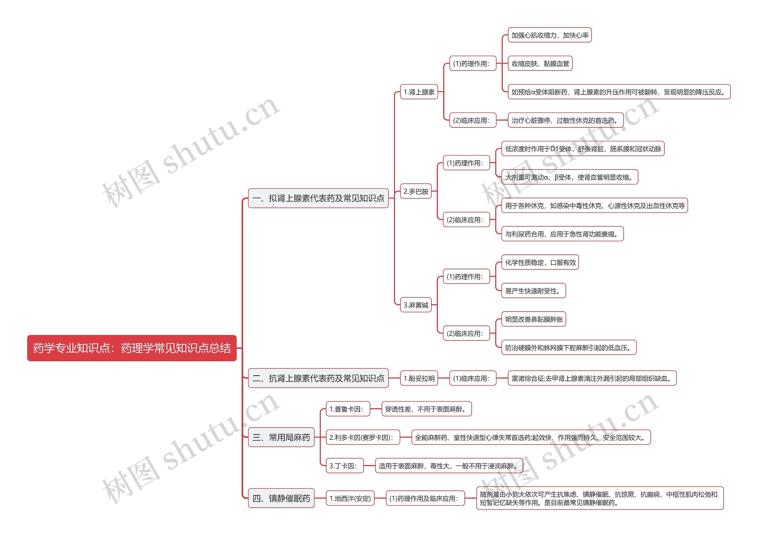 药学专业知识点：药理学常见知识点总结思维导图