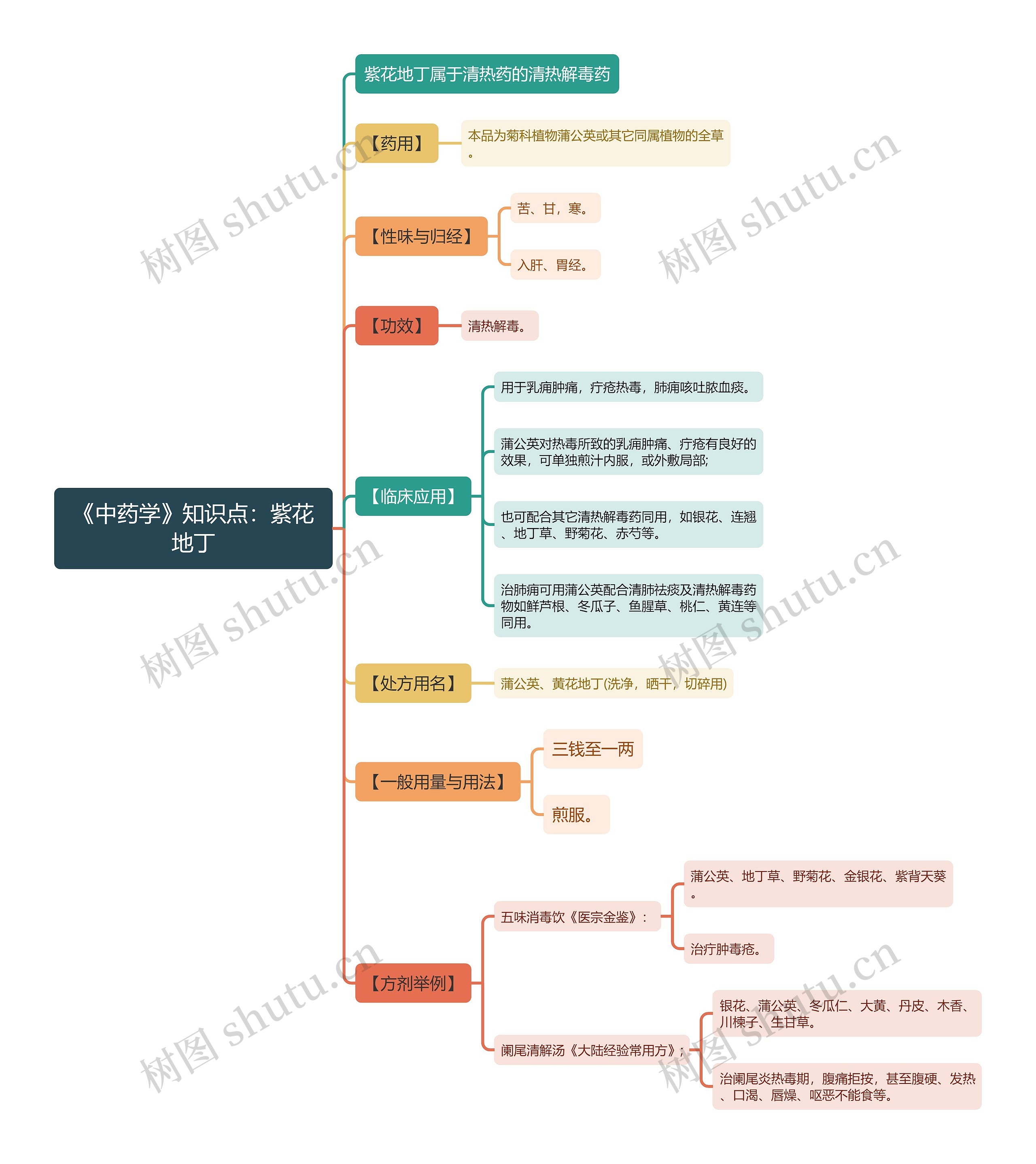《中药学》知识点：紫花地丁思维导图