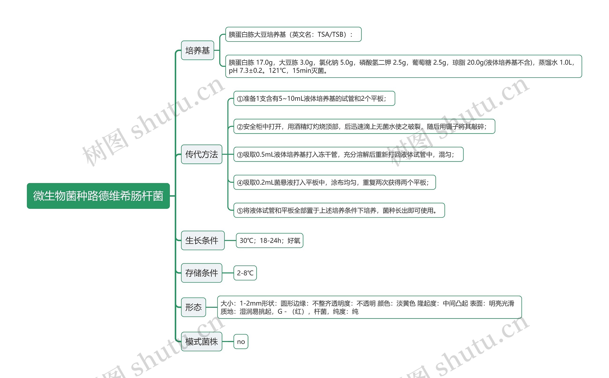 微生物菌种路德维希肠杆菌思维导图