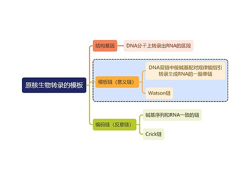 医学知识原核⽣物转录的模板思维导图