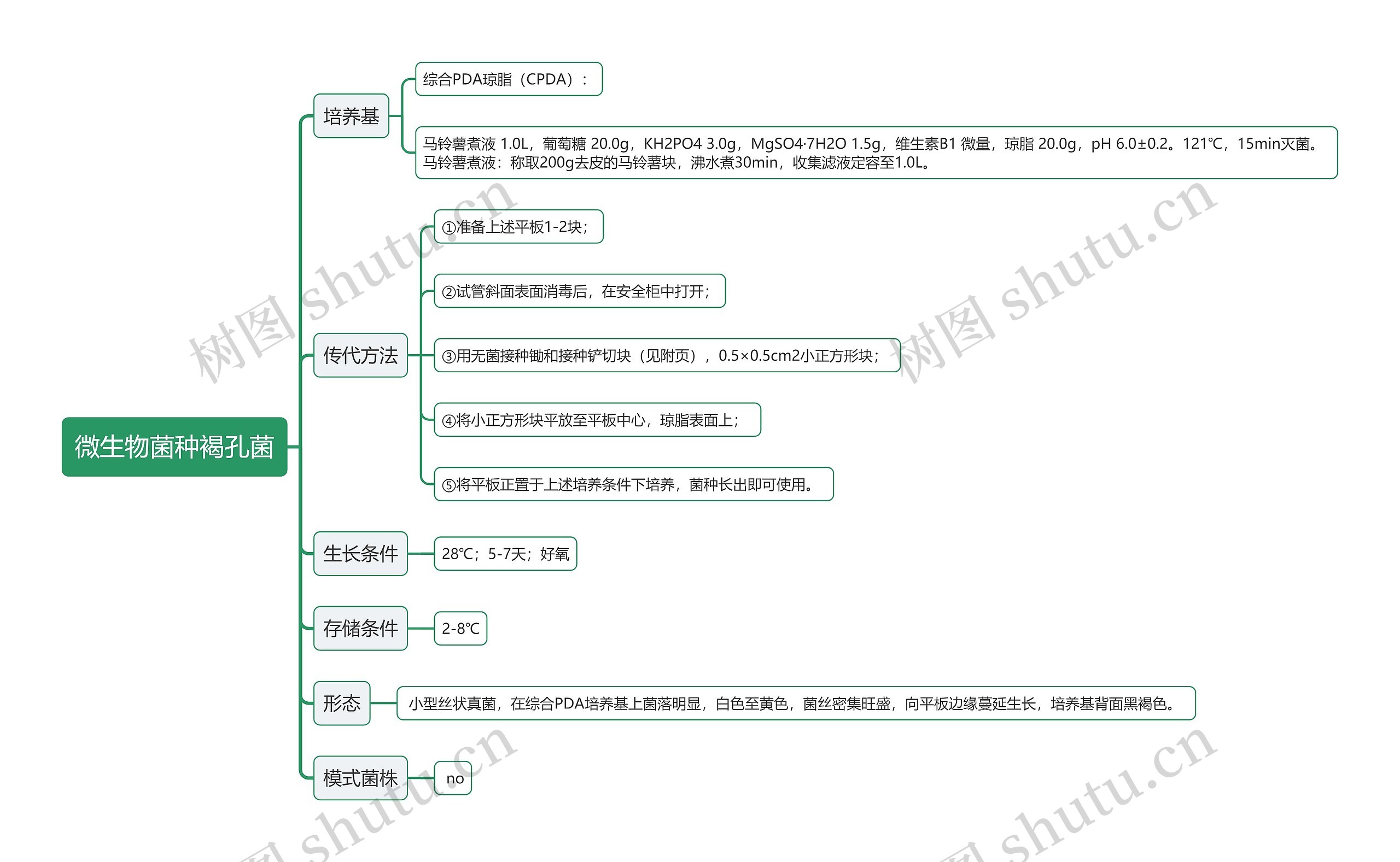 微生物菌种褐孔菌思维导图