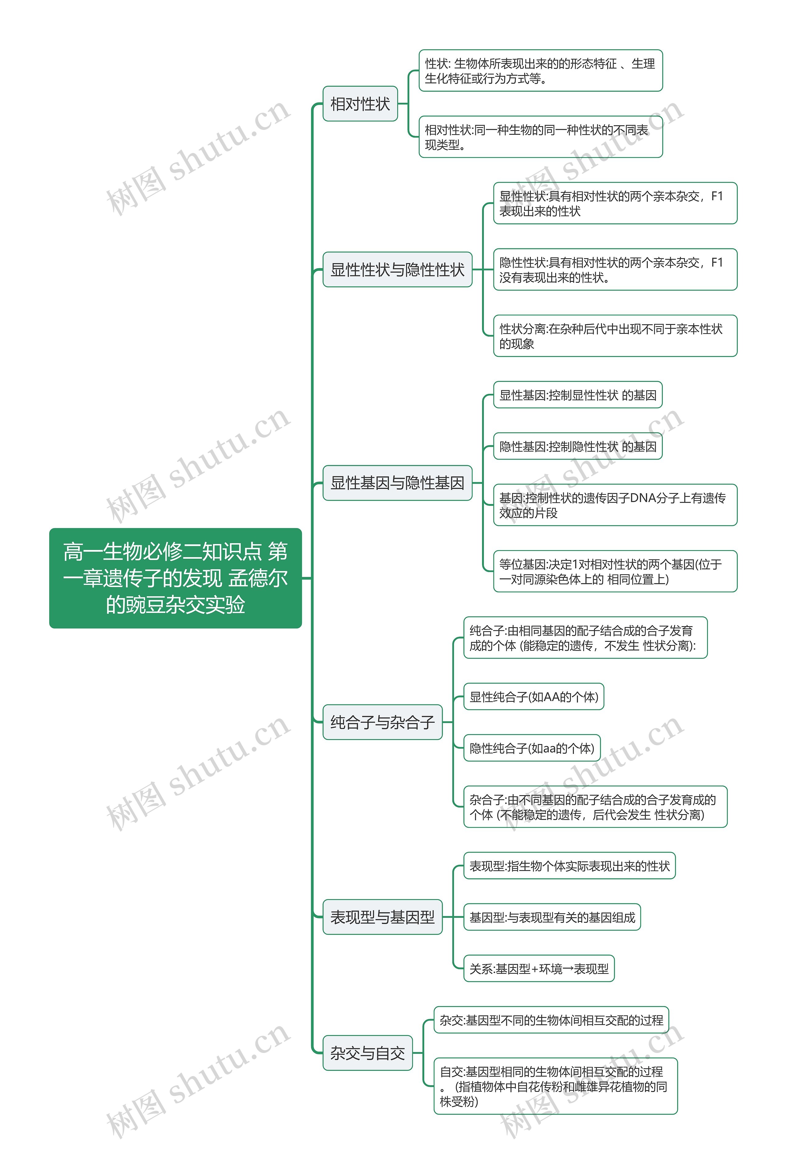 高一生物必修二知识点 第一章遗传子的发现 孟德尔的豌豆杂交实验