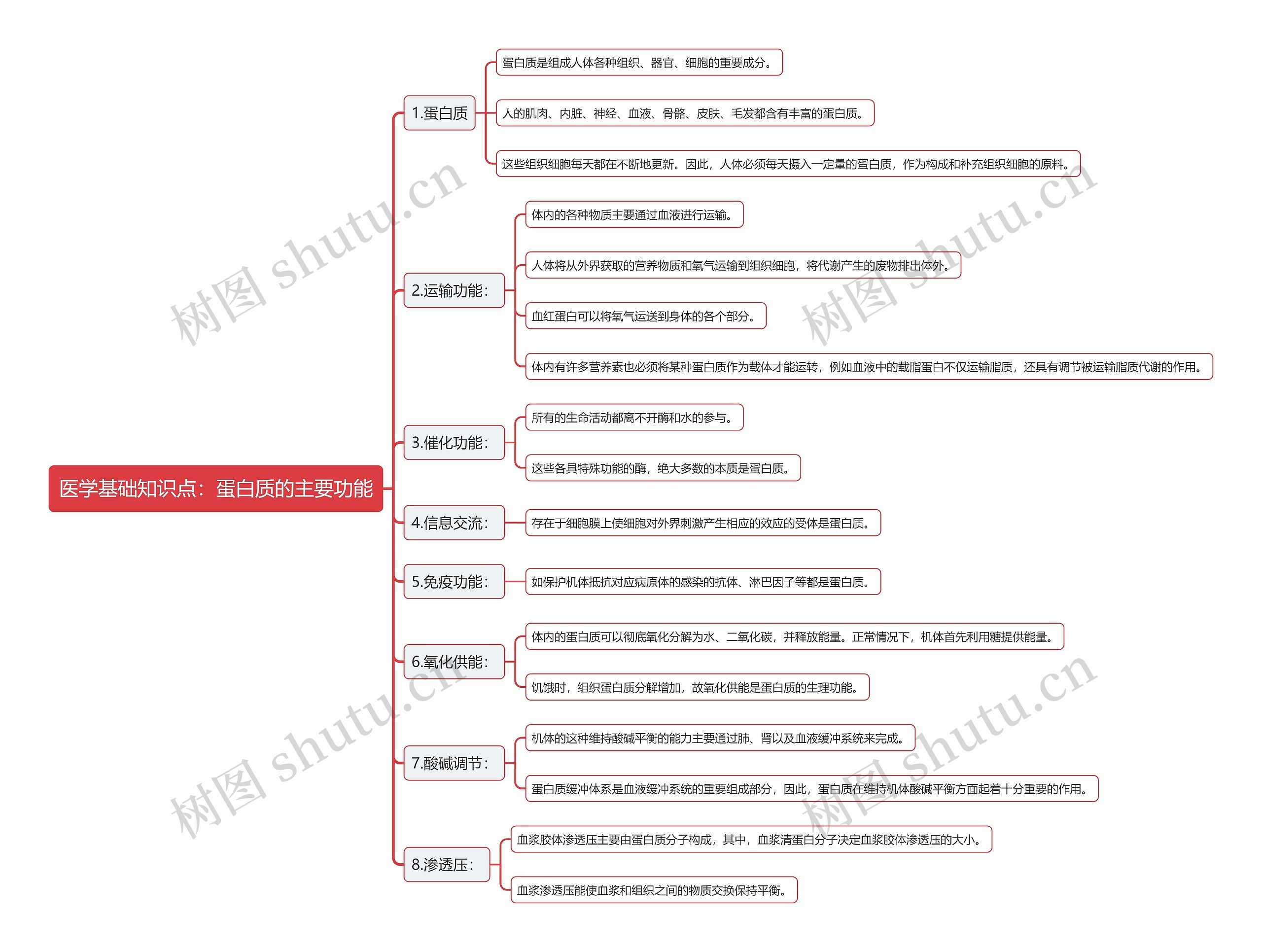 医学基础知识点：蛋白质的主要功能思维导图