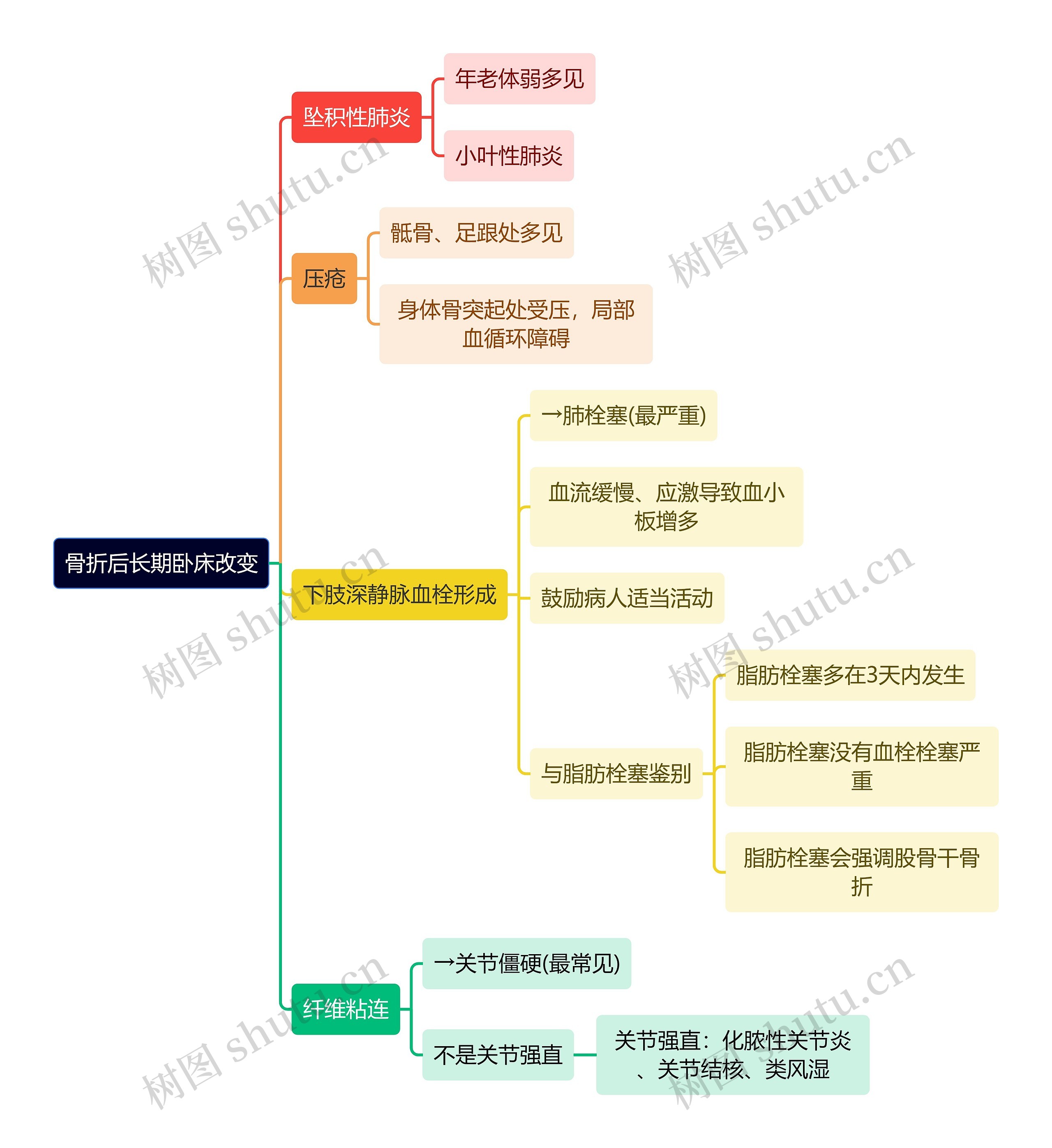 骨学知识骨折后长期卧床改变思维导图