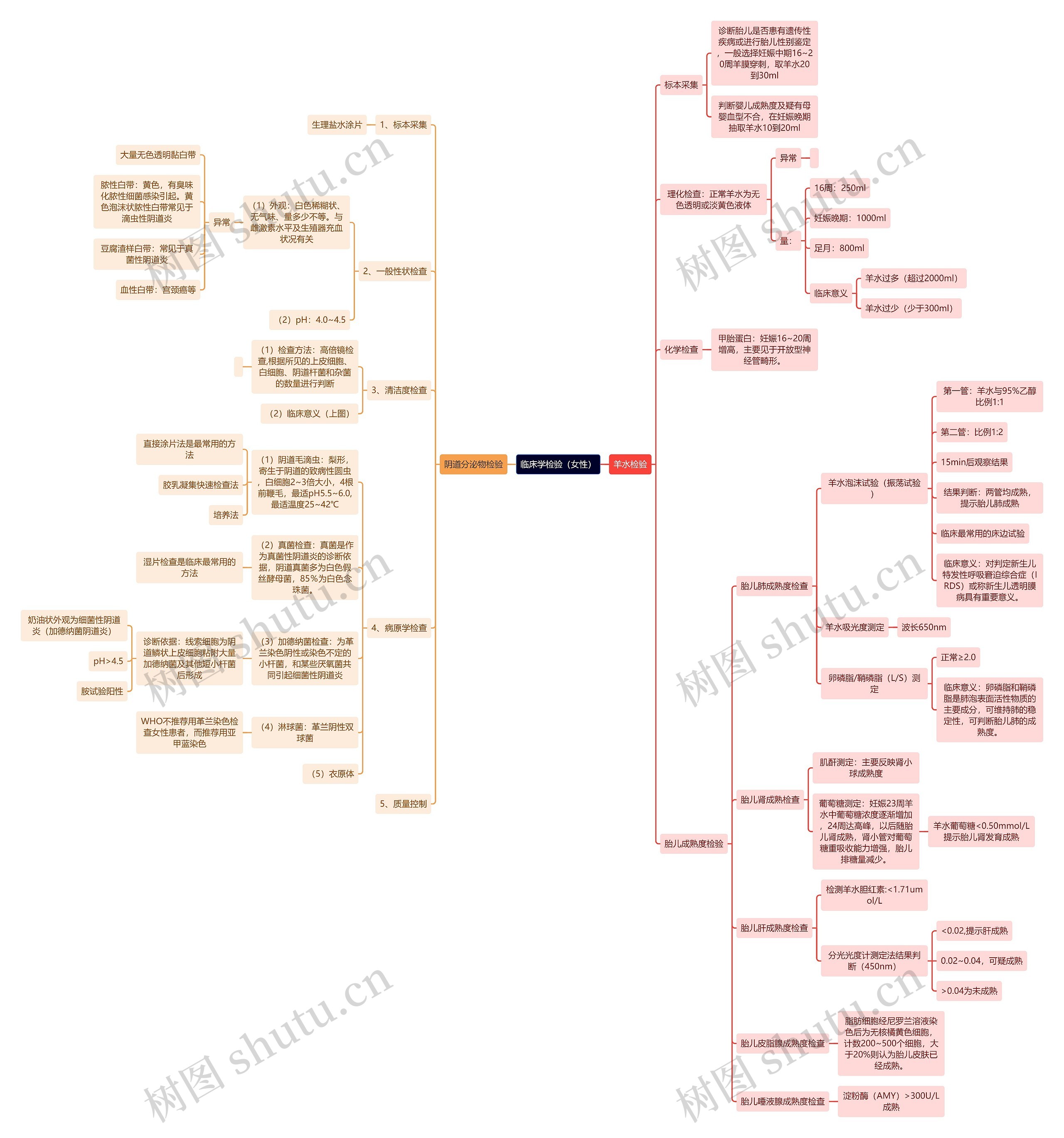 临床学检验(女性)思维导图高清图 临床学检验(女性)思维导图