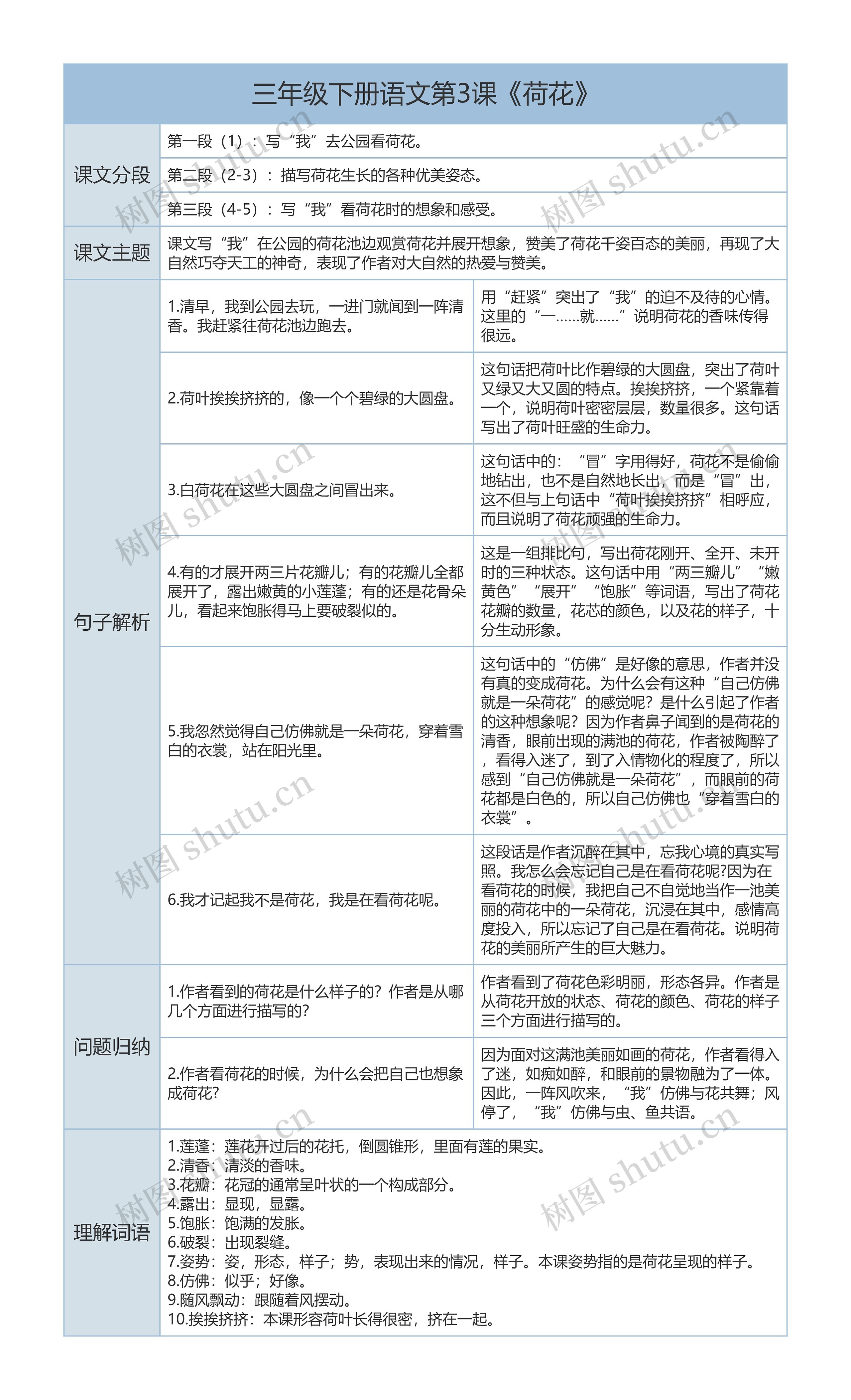 三年级下册语文第3课《荷花》课文解析树形表格思维导图