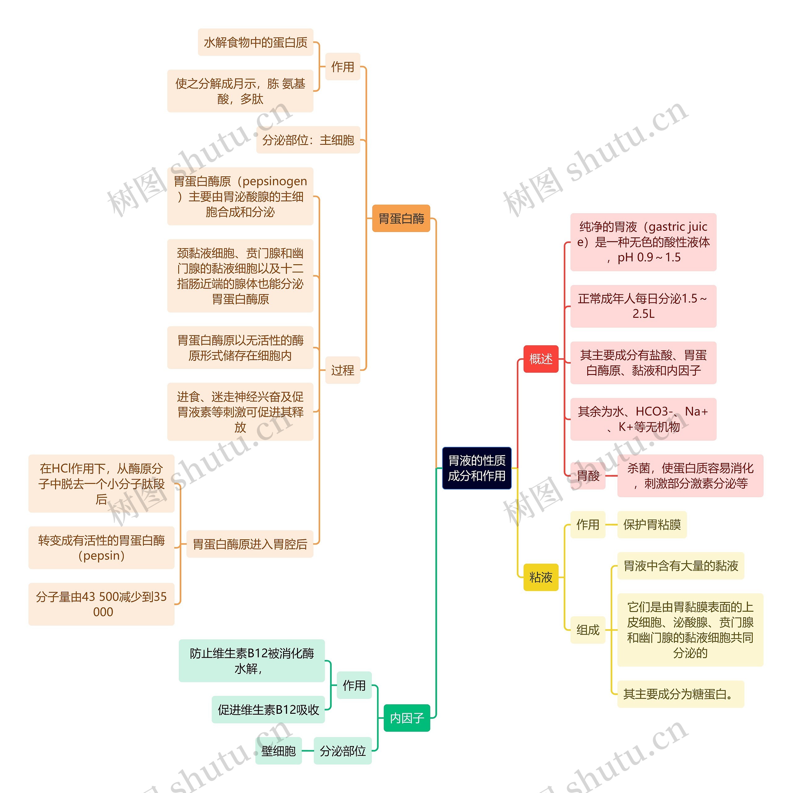 医学知识胃液的性质成分和作用思维导图