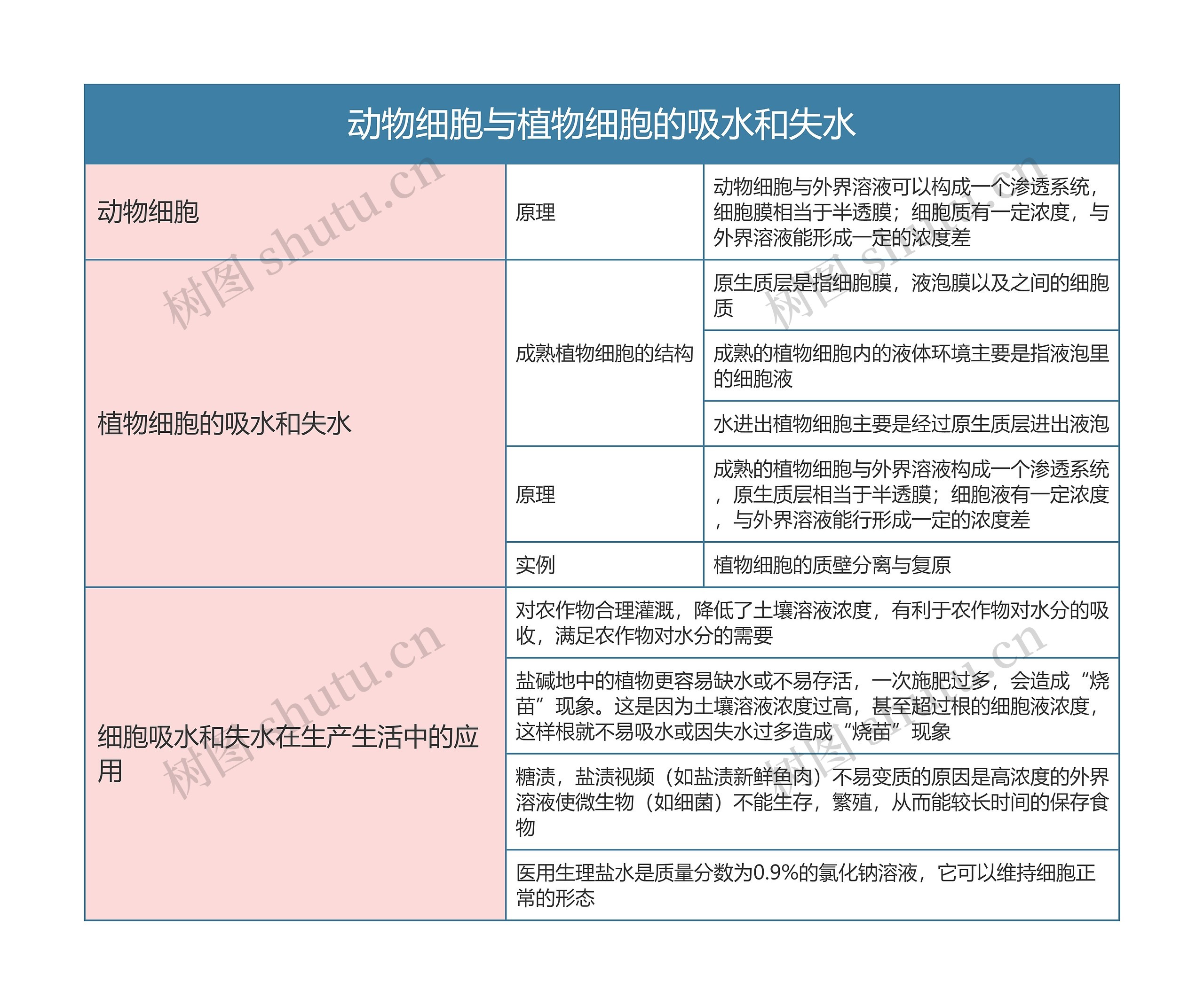 高一生物必修一动物细胞与植物细胞的吸水和失水思维导图